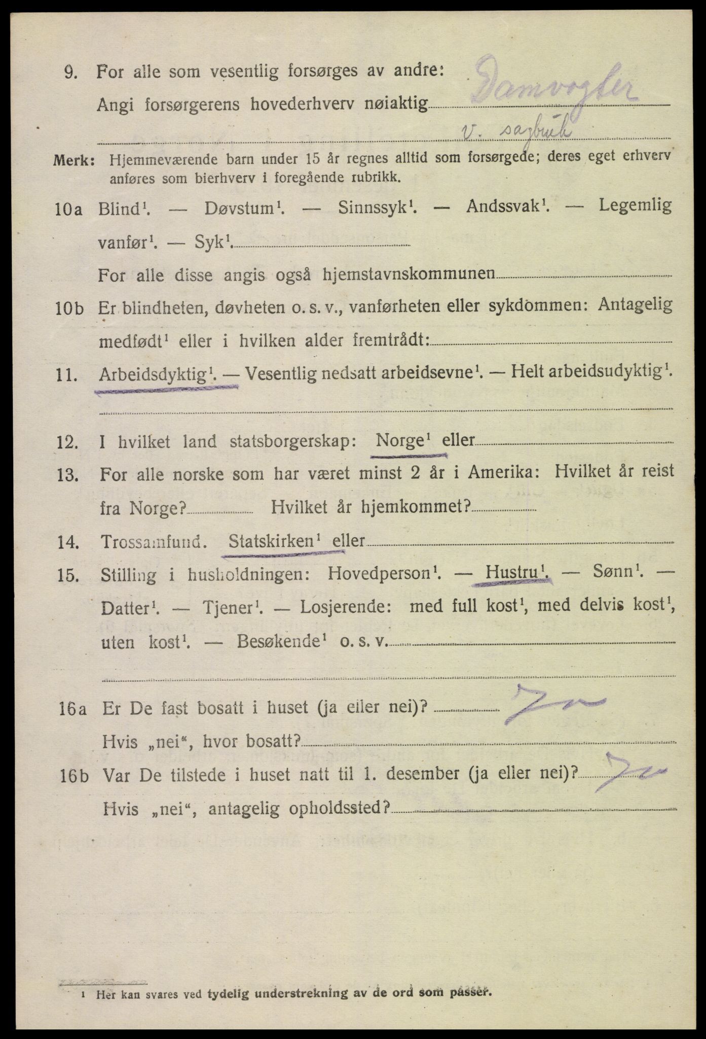 SAK, 1920 census for Hornnes, 1920, p. 582