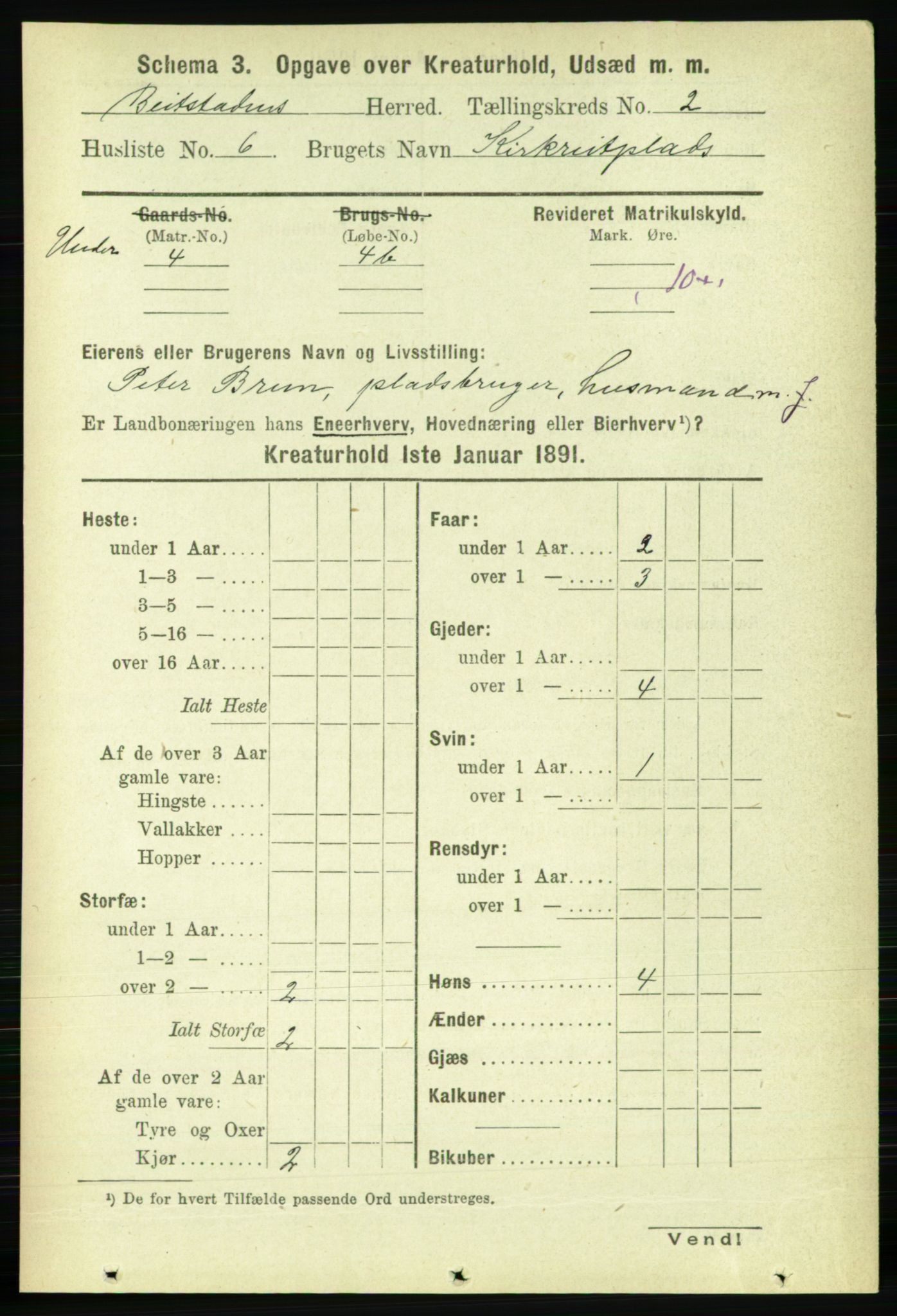 RA, 1891 census for 1727 Beitstad, 1891, p. 5702