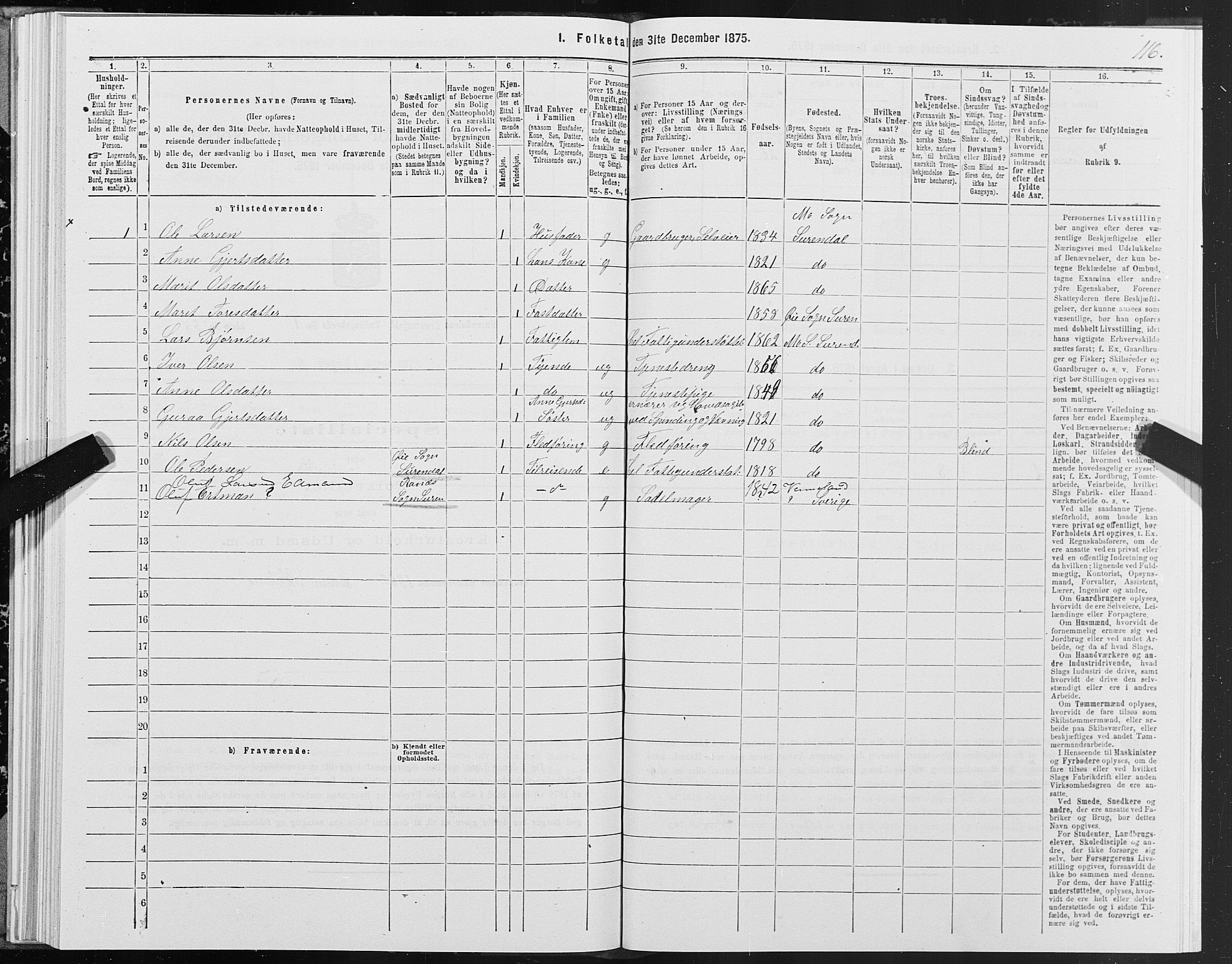 SAT, 1875 census for 1566P Surnadal, 1875, p. 1116