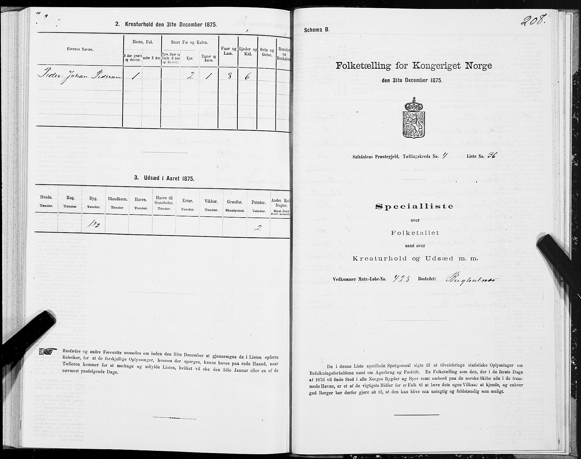 SAT, 1875 census for 1840P Saltdal, 1875, p. 2208