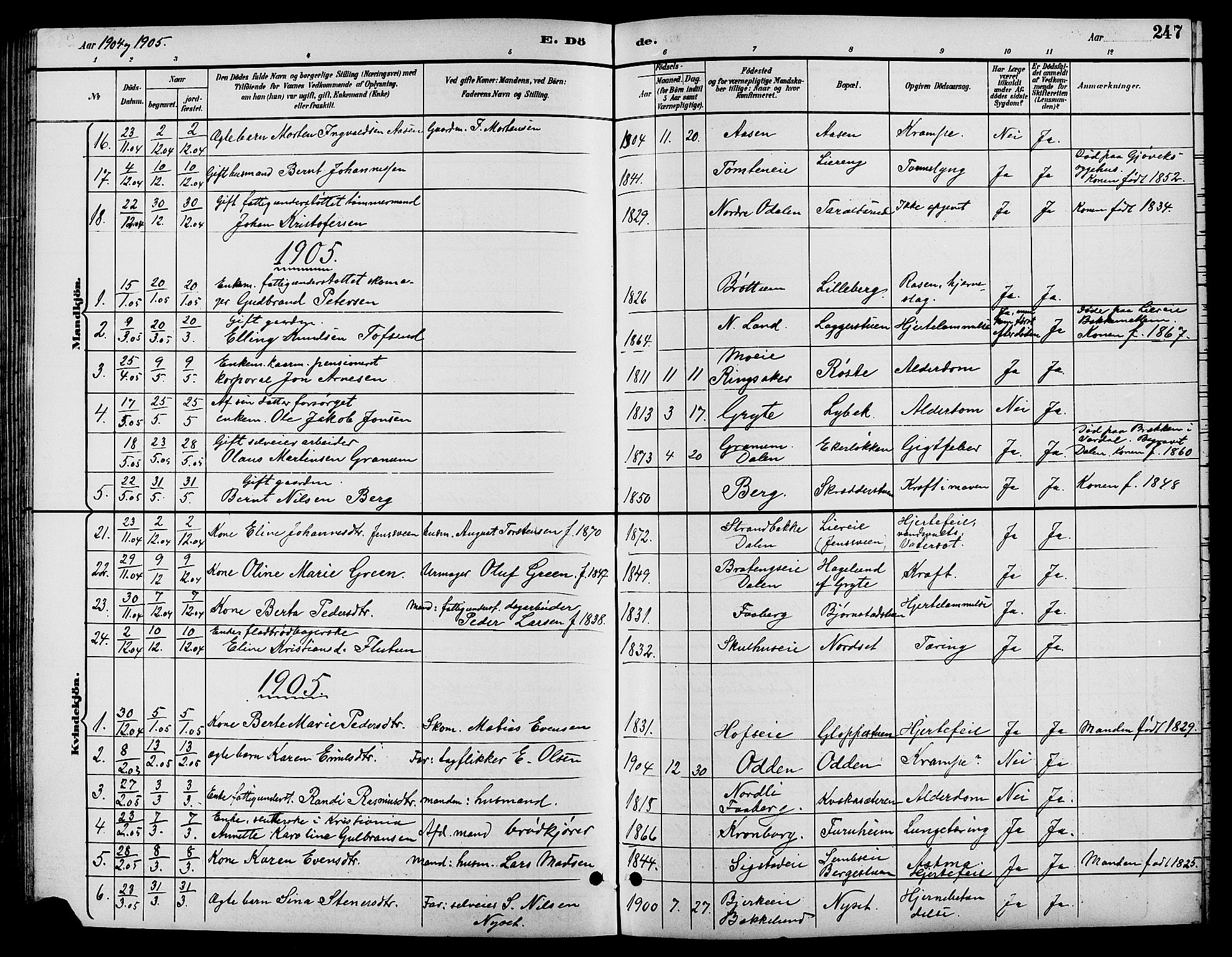 Biri prestekontor, SAH/PREST-096/H/Ha/Hab/L0004: Parish register (copy) no. 4, 1892-1909, p. 247