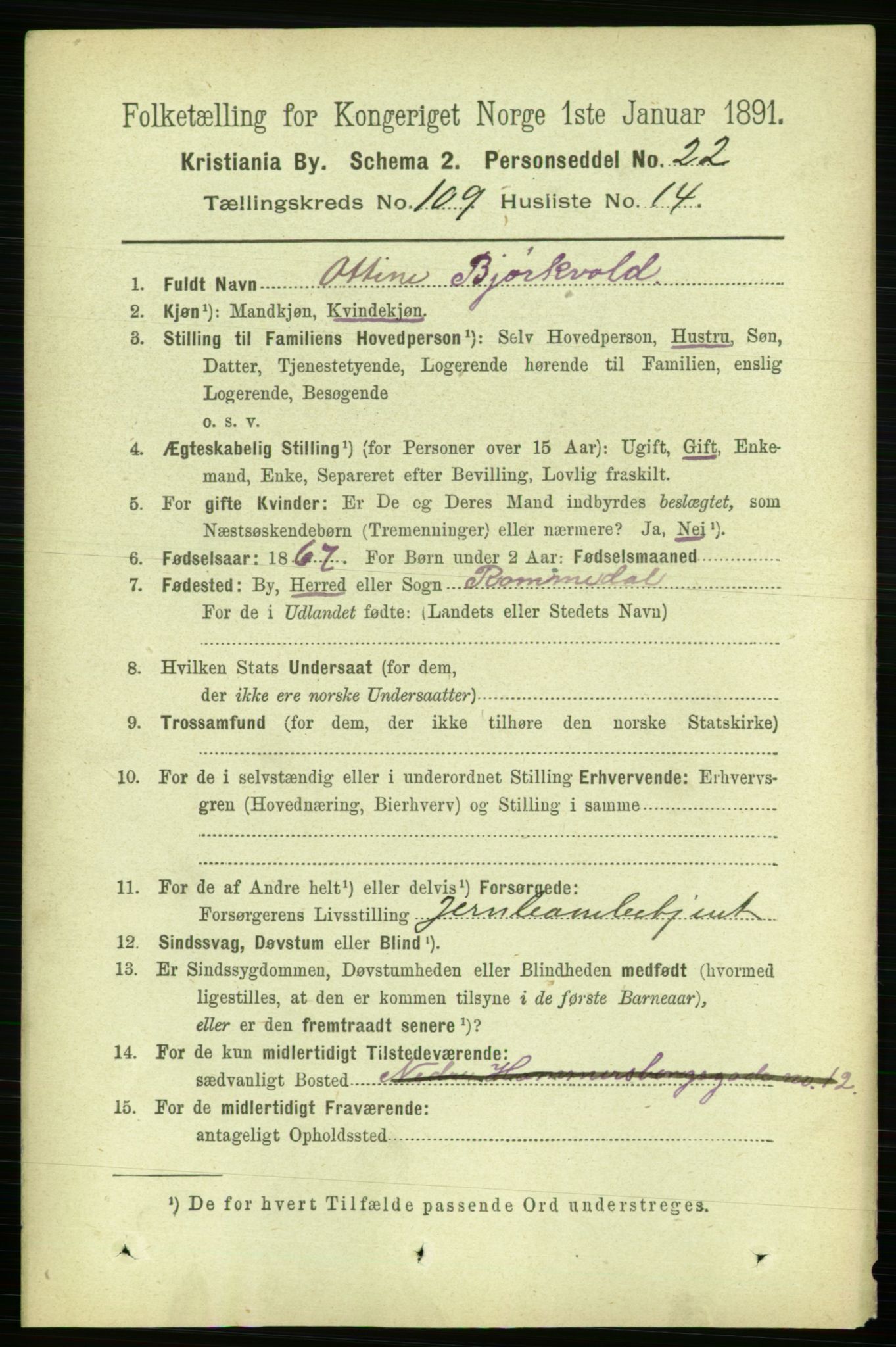 RA, 1891 census for 0301 Kristiania, 1891, p. 56918