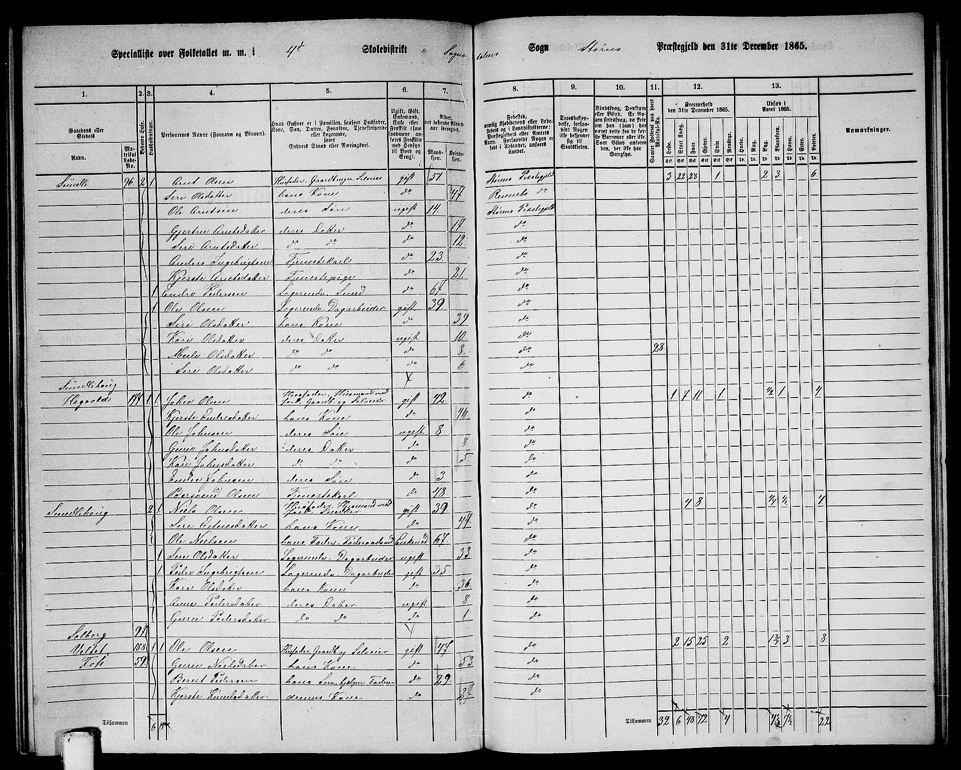 RA, 1865 census for Støren, 1865, p. 268