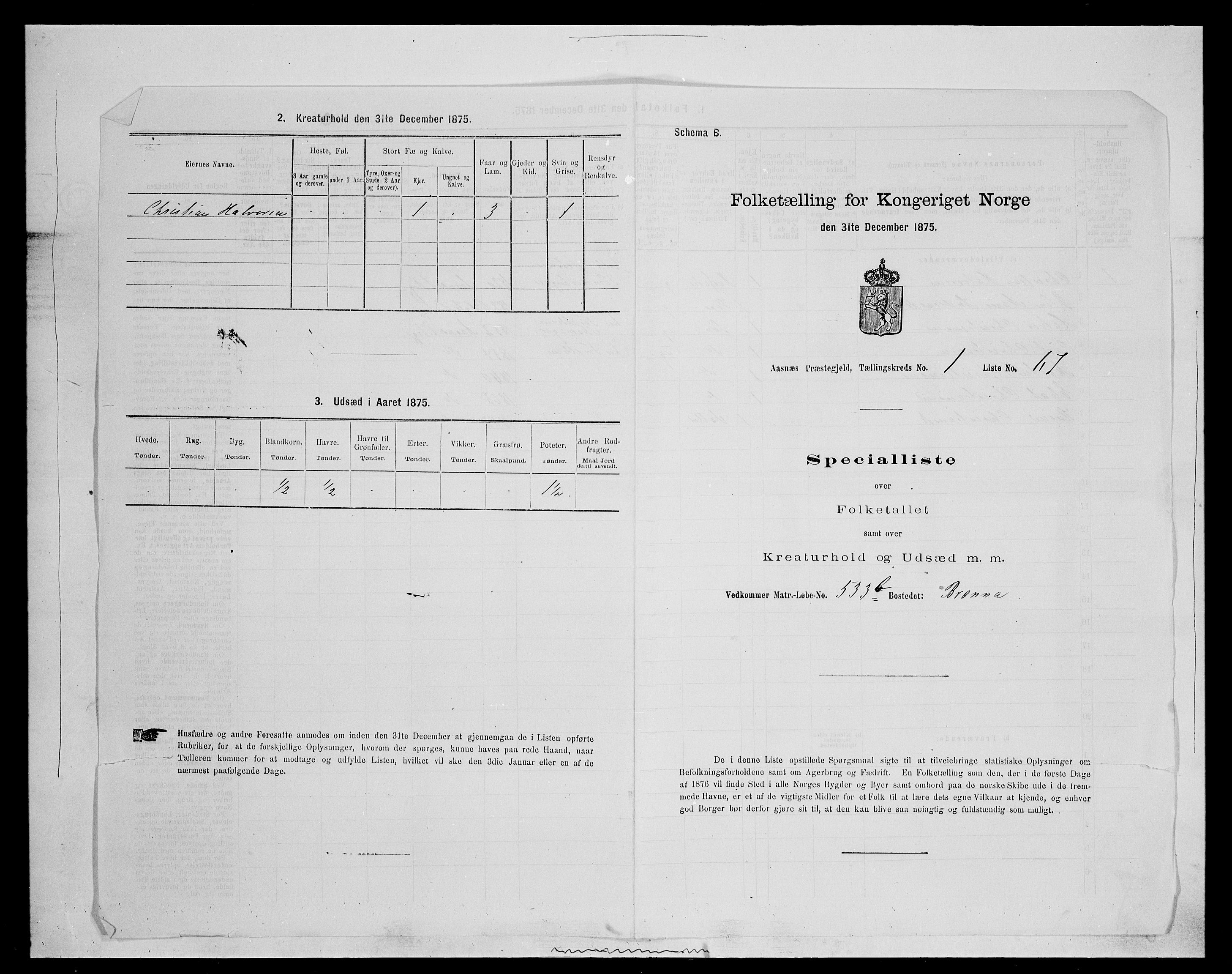 SAH, 1875 census for 0425P Åsnes, 1875, p. 146