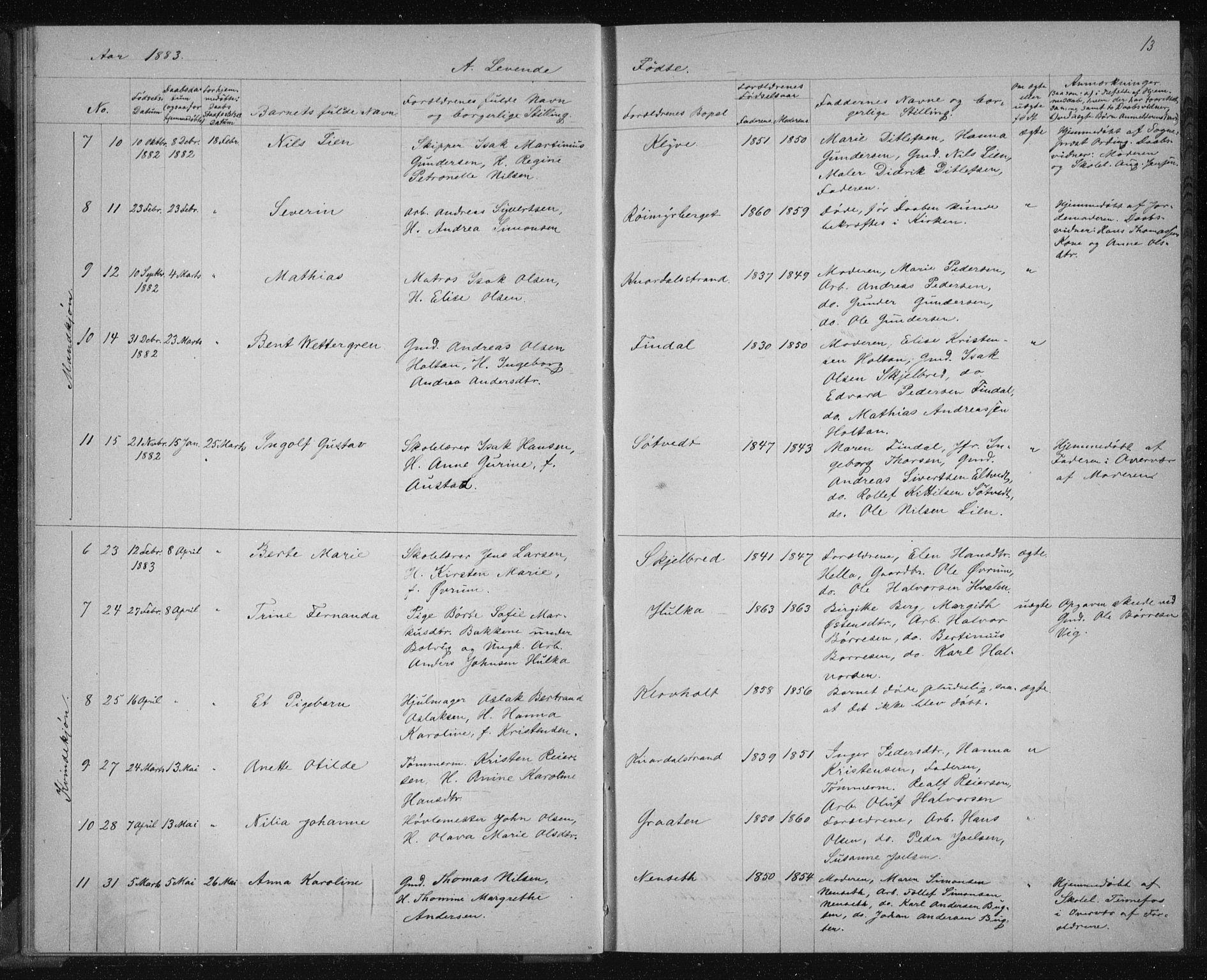Solum kirkebøker, SAKO/A-306/G/Ga/L0006: Parish register (copy) no. I 6, 1882-1883, p. 13