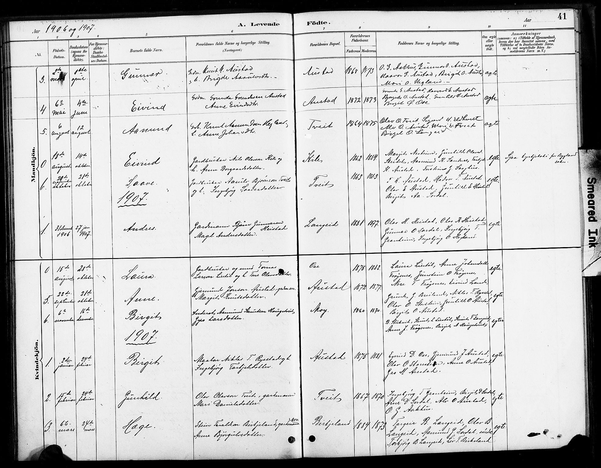 Bygland sokneprestkontor, AV/SAK-1111-0006/F/Fa/Faa/L0001: Parish register (official) no. A 1, 1885-1908, p. 41