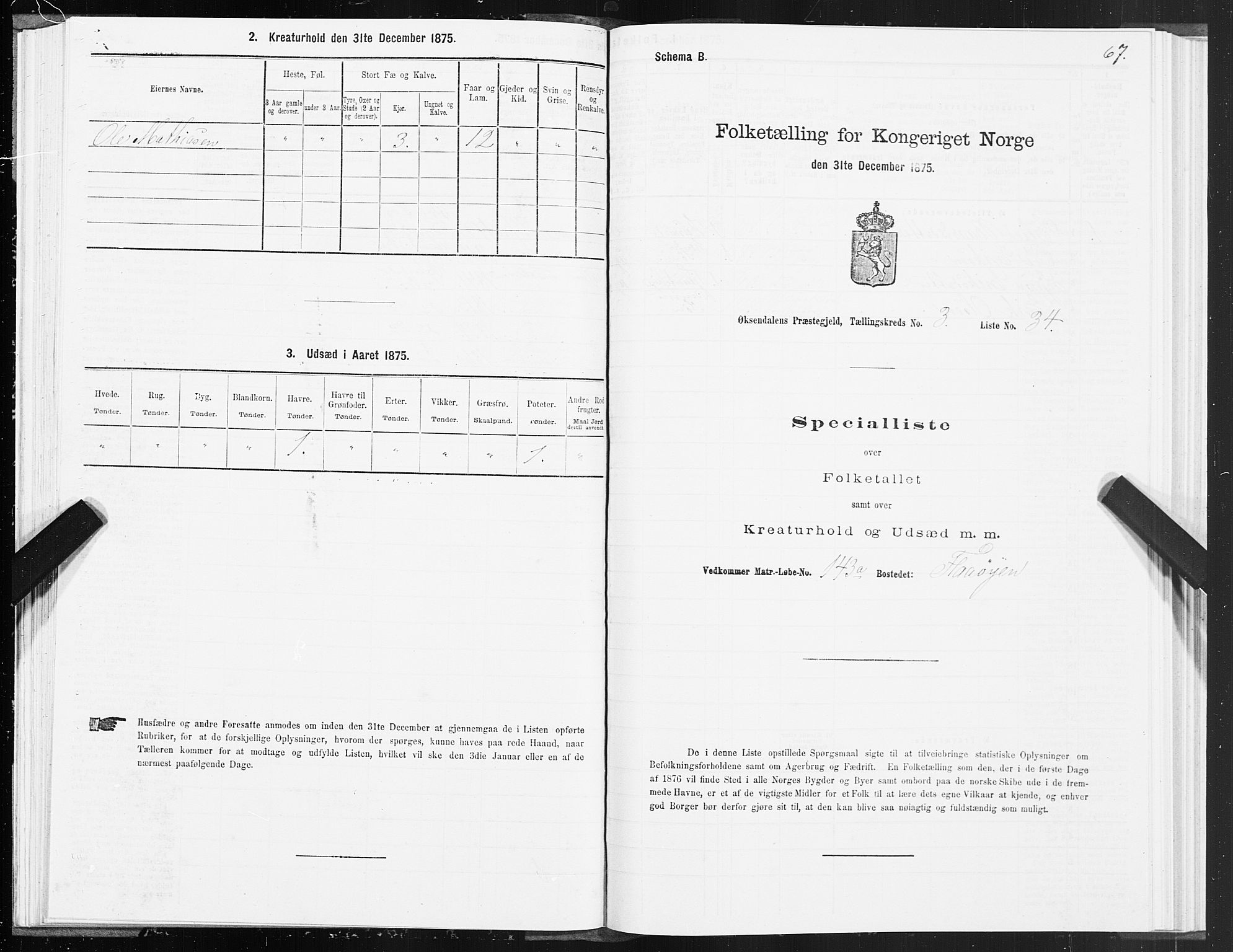 SAT, 1875 census for 1561P Øksendal, 1875, p. 2067
