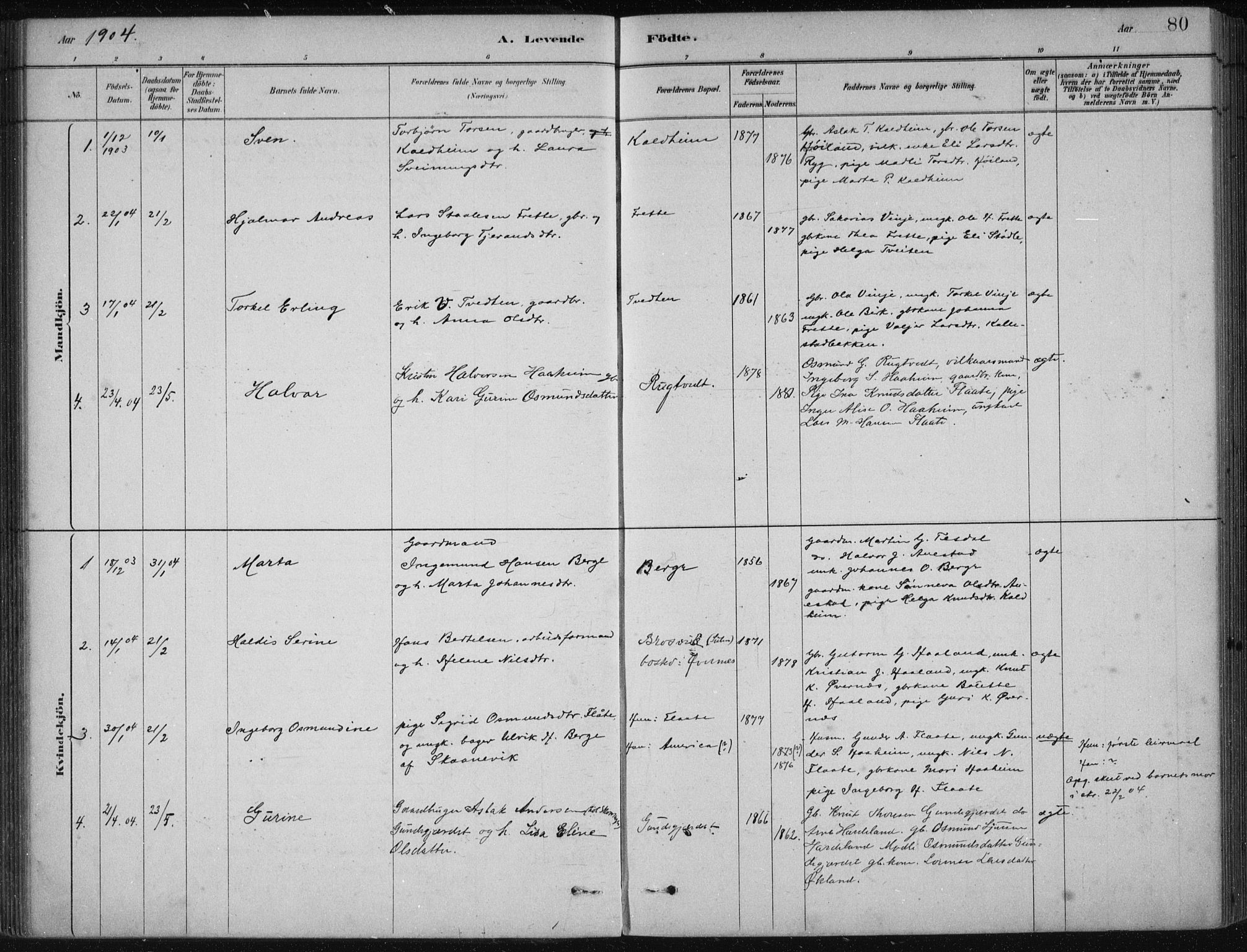 Etne sokneprestembete, SAB/A-75001/H/Haa: Parish register (official) no. D  1, 1879-1919, p. 80