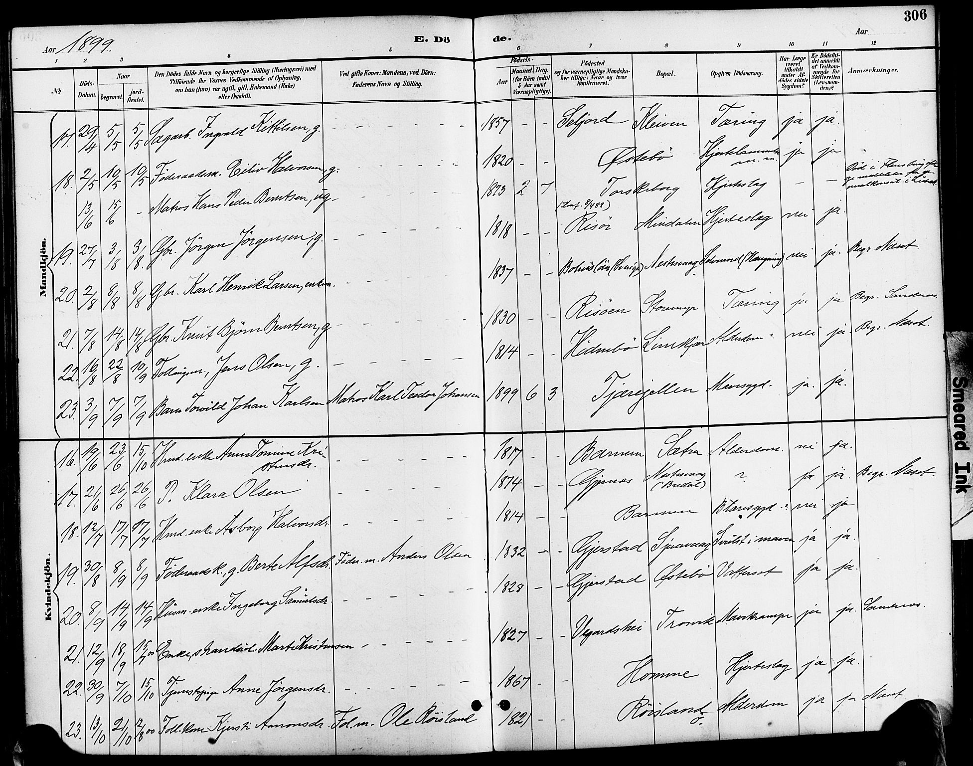 Søndeled sokneprestkontor, AV/SAK-1111-0038/F/Fa/L0005: Parish register (official) no. A 5, 1889-1899, p. 306