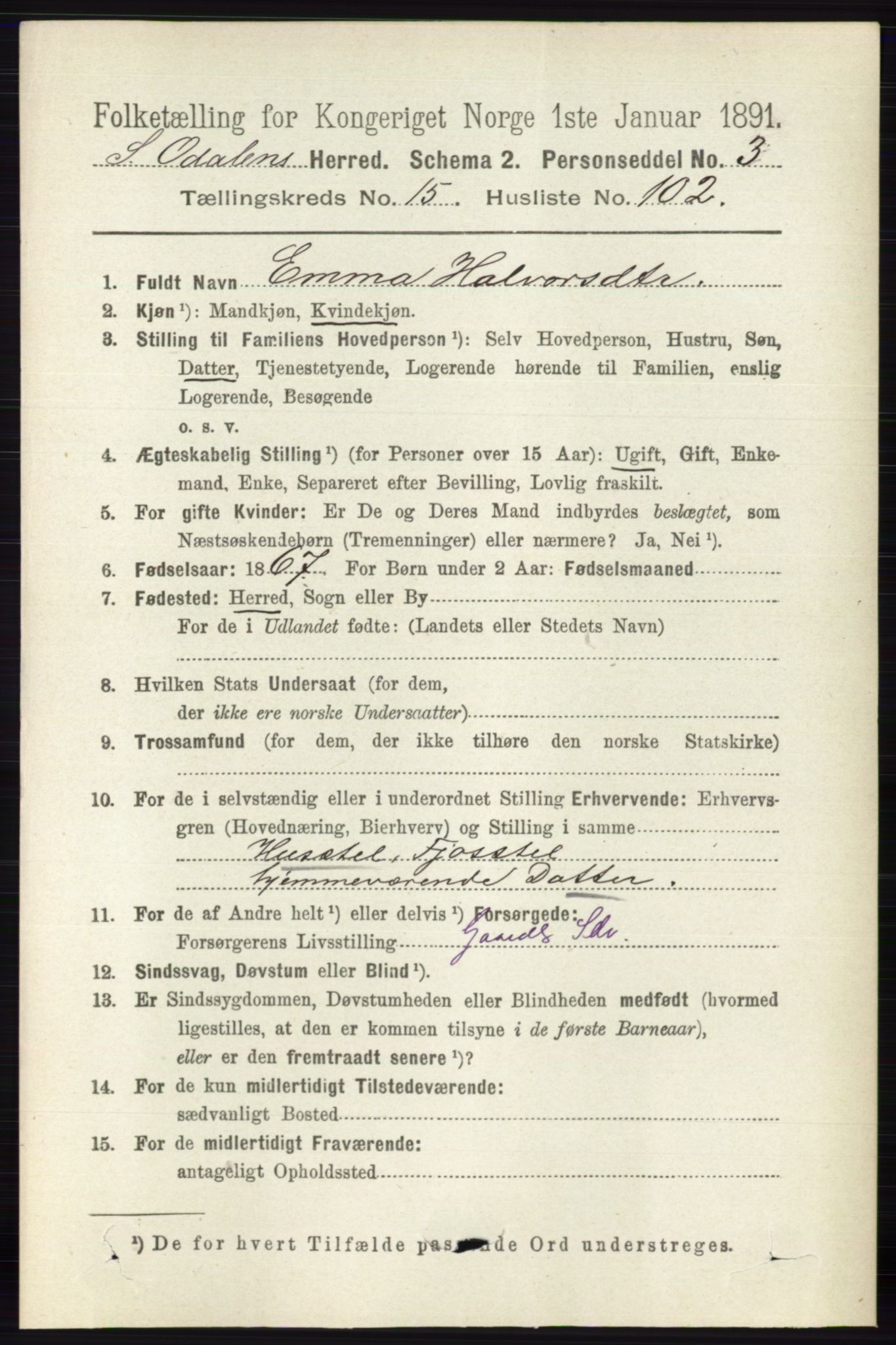 RA, 1891 census for 0419 Sør-Odal, 1891, p. 7184