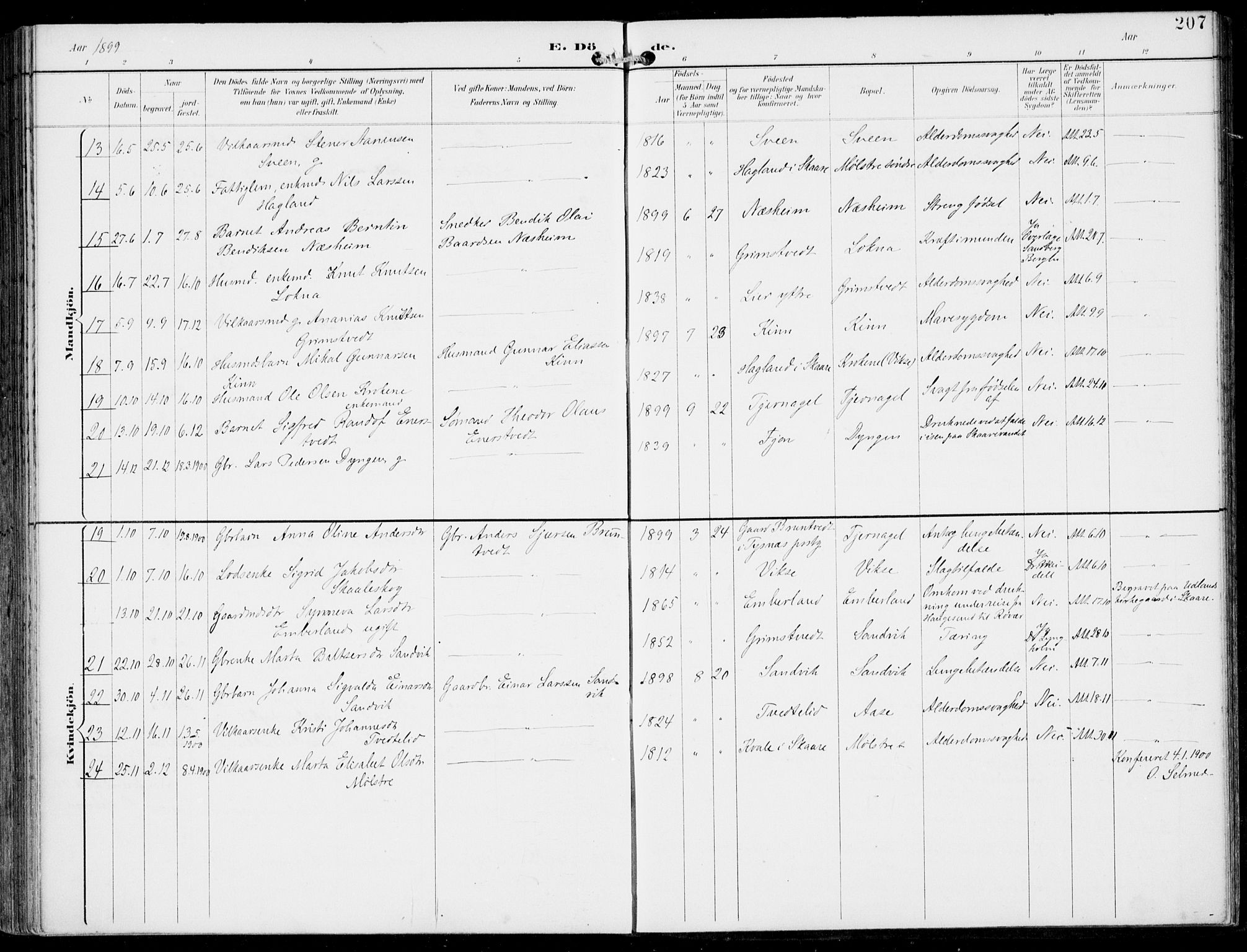 Sveio Sokneprestembete, AV/SAB-A-78501/H/Haa: Parish register (official) no. B  3, 1894-1906, p. 207