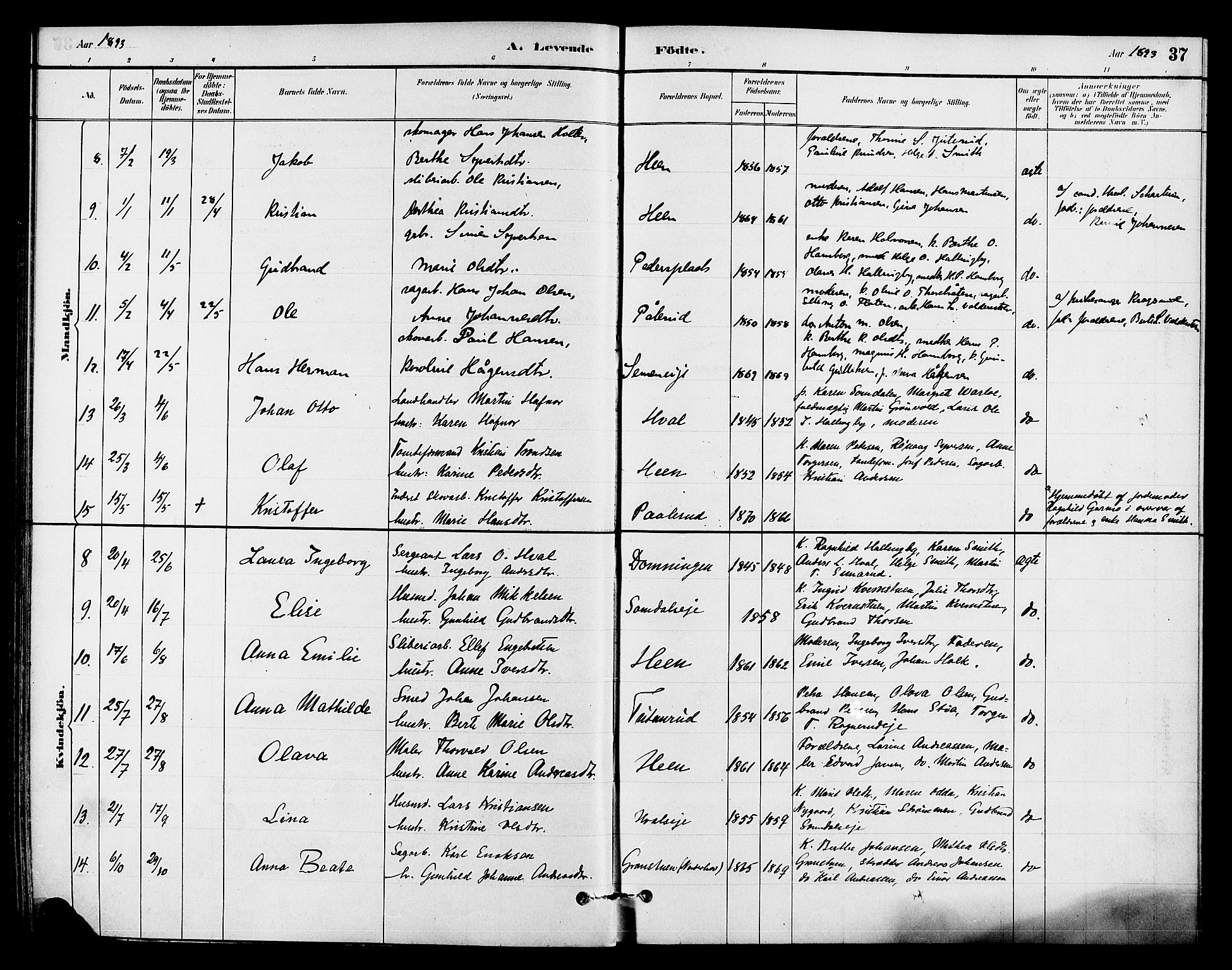 Ådal kirkebøker, AV/SAKO-A-248/F/Fb/L0001: Parish register (official) no. II 1, 1884-1897, p. 37