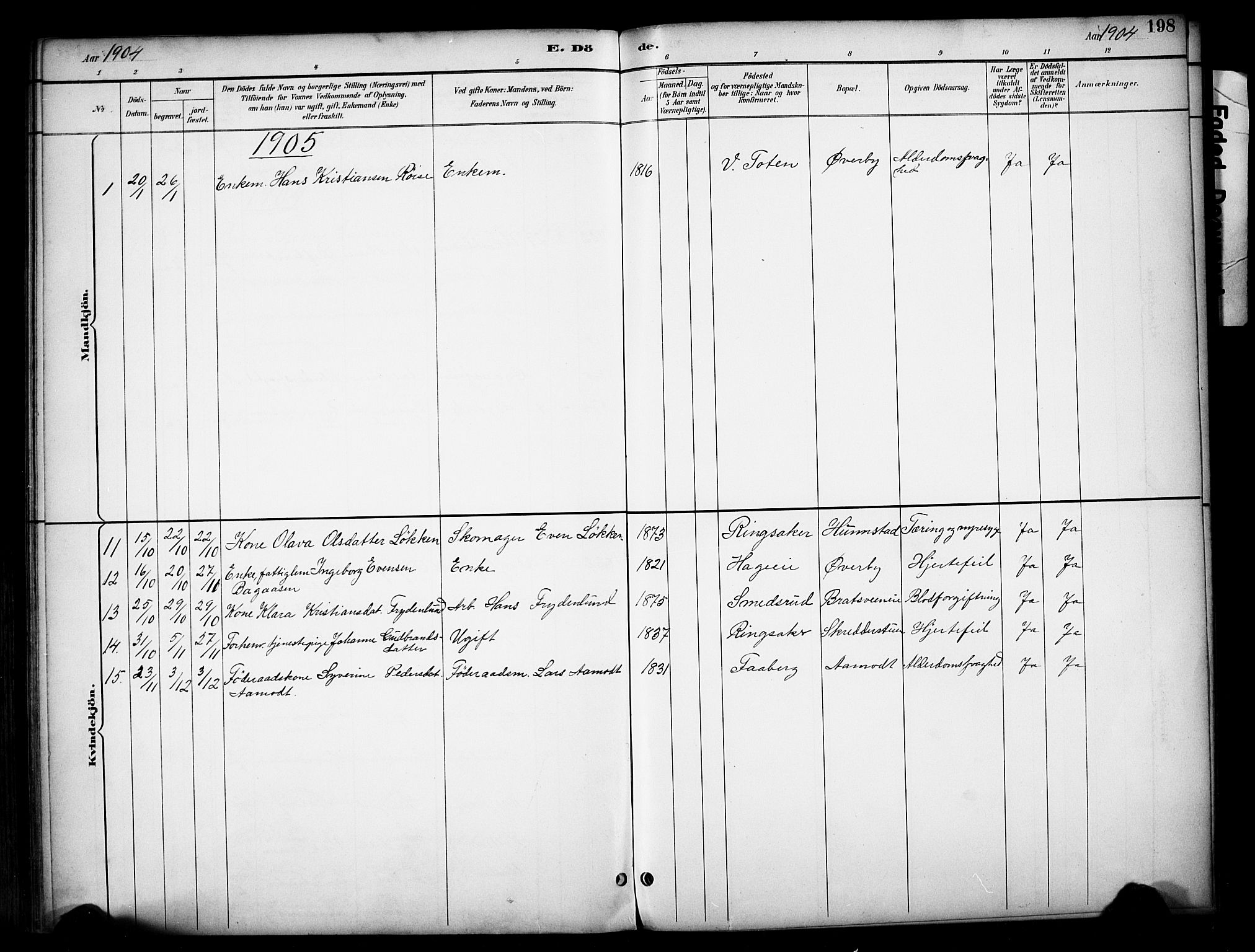 Vardal prestekontor, AV/SAH-PREST-100/H/Ha/Haa/L0012: Parish register (official) no. 12, 1893-1904, p. 198