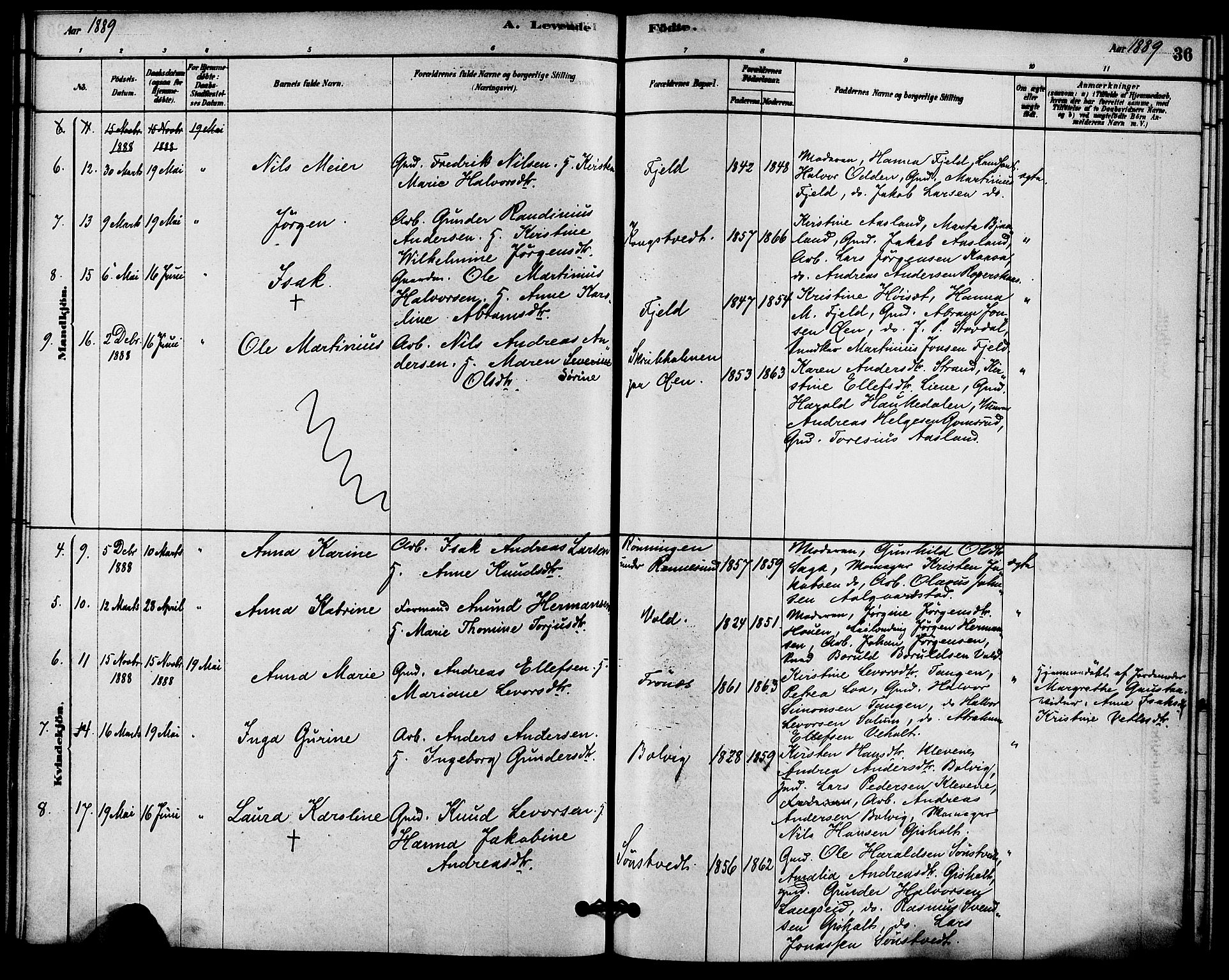Solum kirkebøker, SAKO/A-306/F/Fc/L0001: Parish register (official) no. III 1, 1877-1891, p. 36