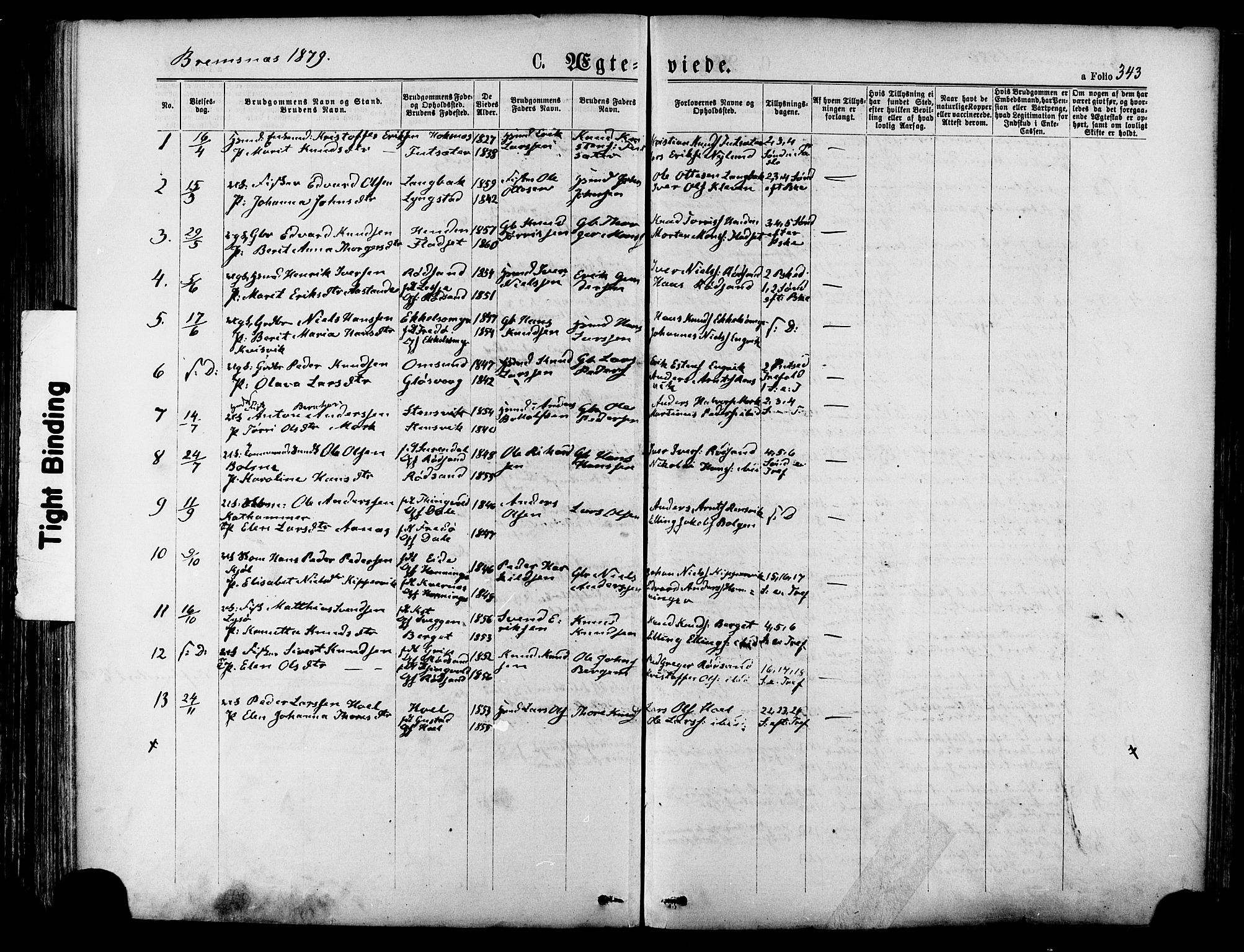 Ministerialprotokoller, klokkerbøker og fødselsregistre - Møre og Romsdal, SAT/A-1454/568/L0806: Parish register (official) no. 568A12 /3, 1878-1884, p. 343