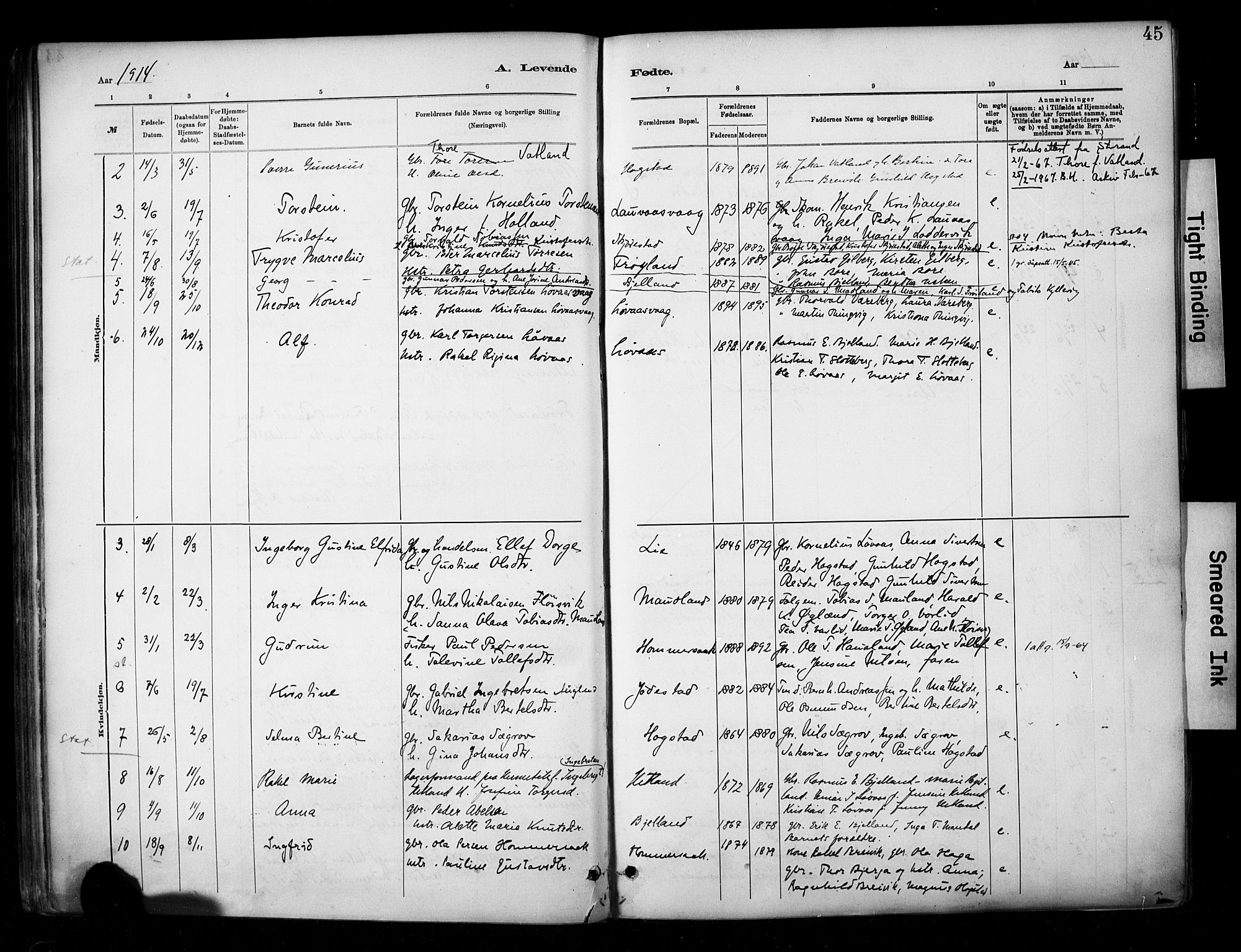 Hetland sokneprestkontor, SAST/A-101826/30/30BA/L0010: Parish register (official) no. A 10, 1882-1925, p. 45