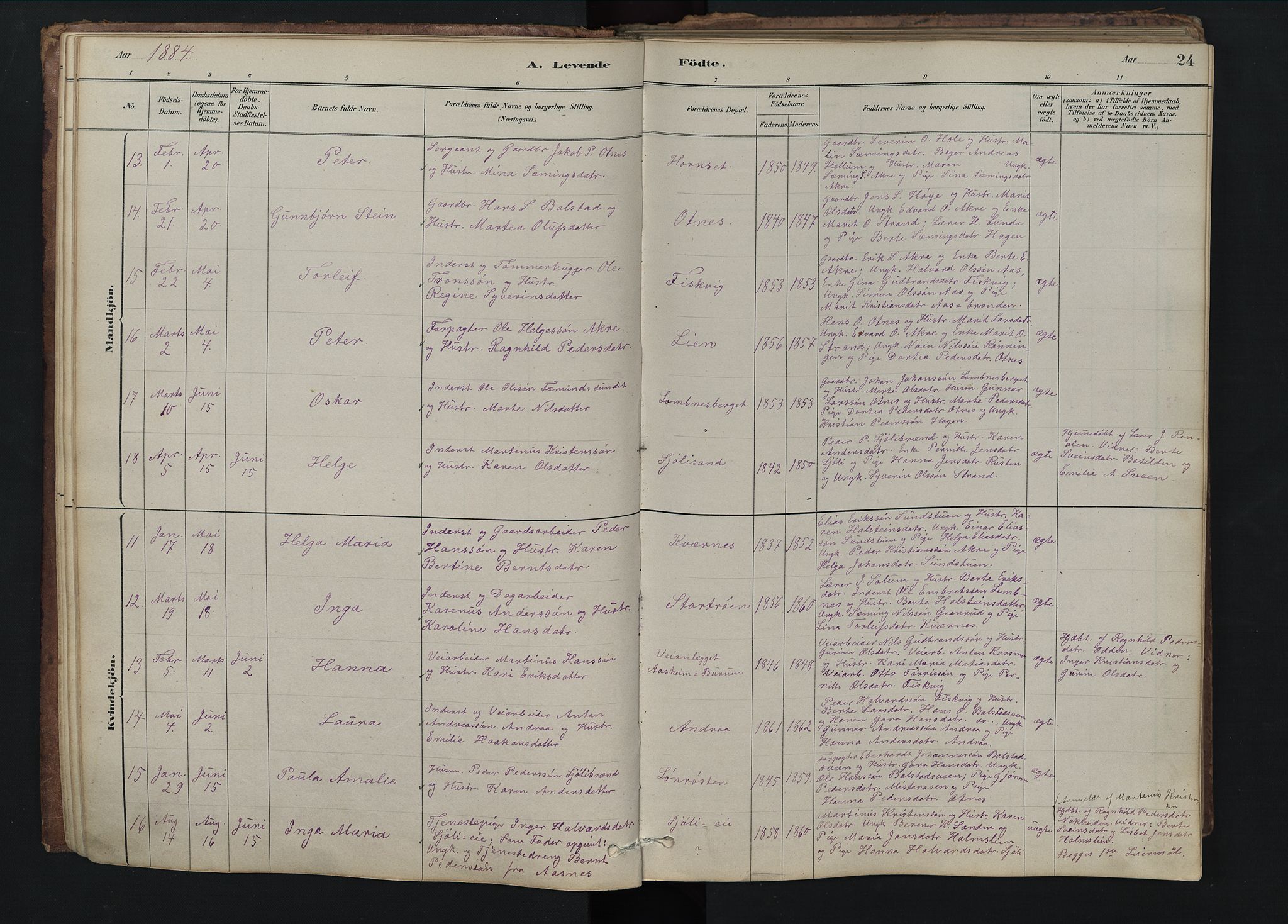Rendalen prestekontor, SAH/PREST-054/H/Ha/Hab/L0009: Parish register (copy) no. 9, 1879-1902, p. 24