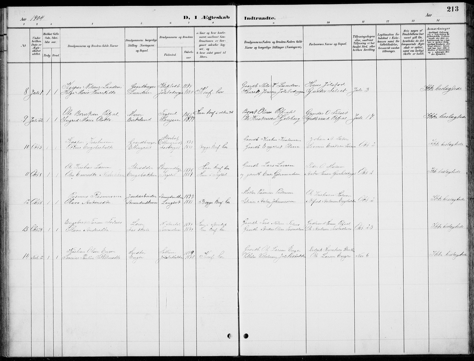 Romedal prestekontor, AV/SAH-PREST-004/L/L0013: Parish register (copy) no. 13, 1896-1937, p. 213