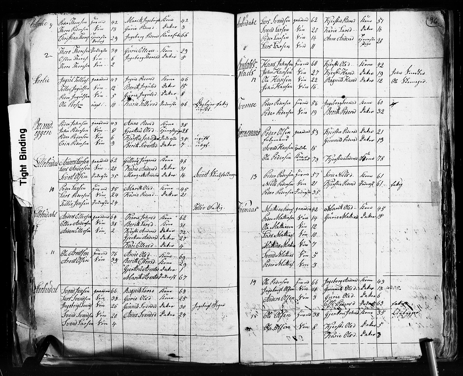 , 1825 Census for Støren parish, 1825, p. 96