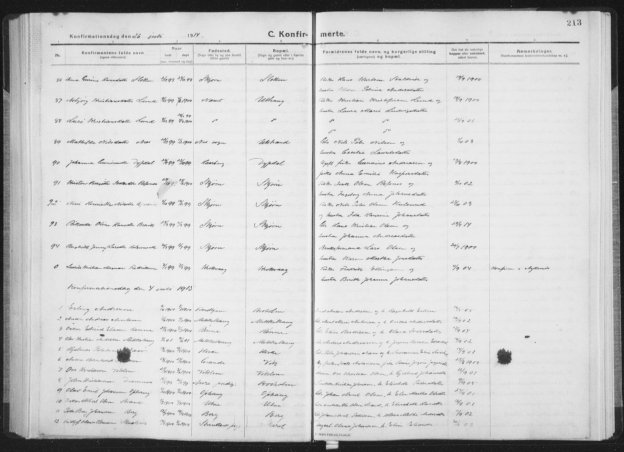 Ministerialprotokoller, klokkerbøker og fødselsregistre - Sør-Trøndelag, SAT/A-1456/659/L0747: Parish register (copy) no. 659C04, 1913-1938, p. 213