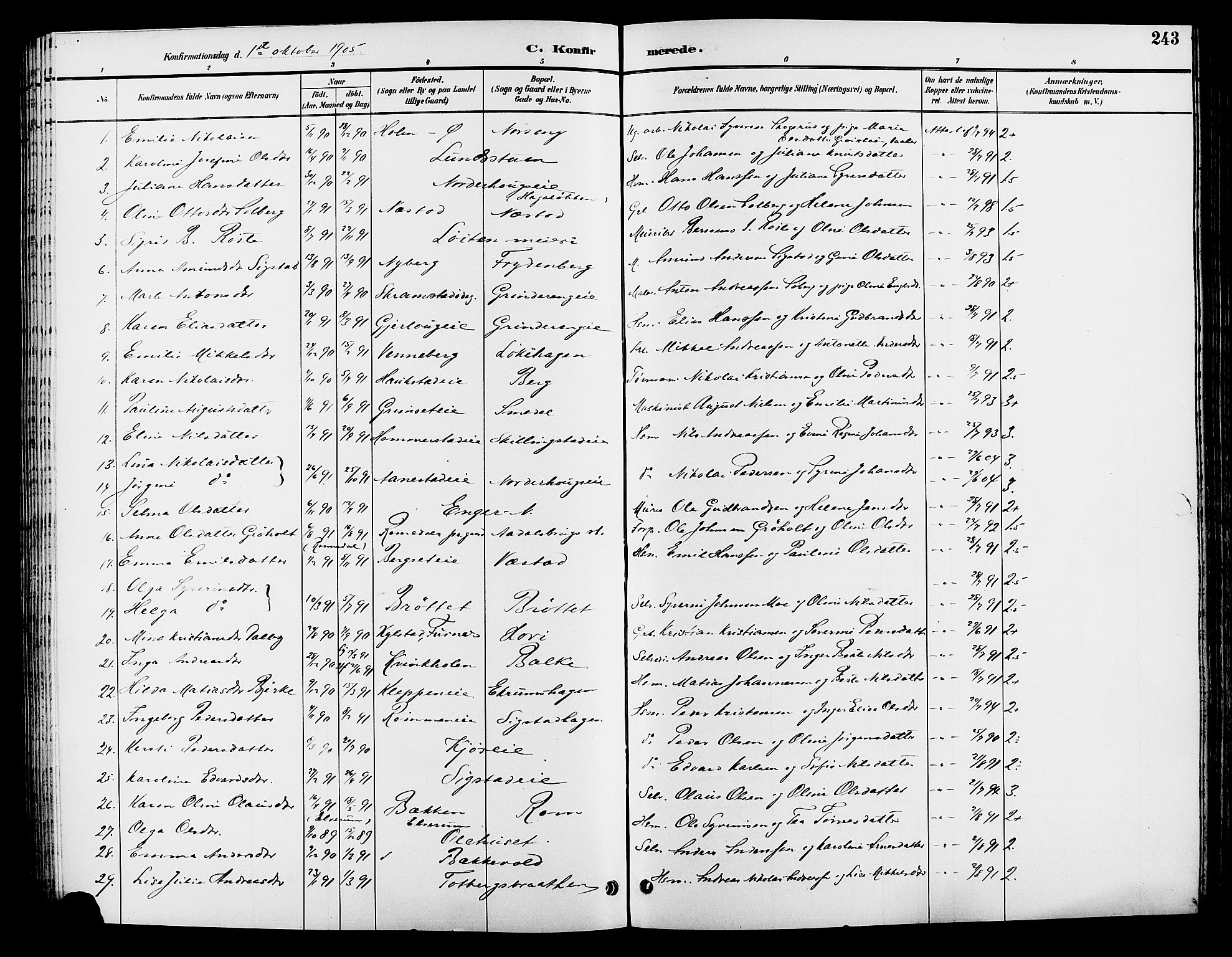 Løten prestekontor, AV/SAH-PREST-022/L/La/L0006: Parish register (copy) no. 6, 1892-1909, p. 243