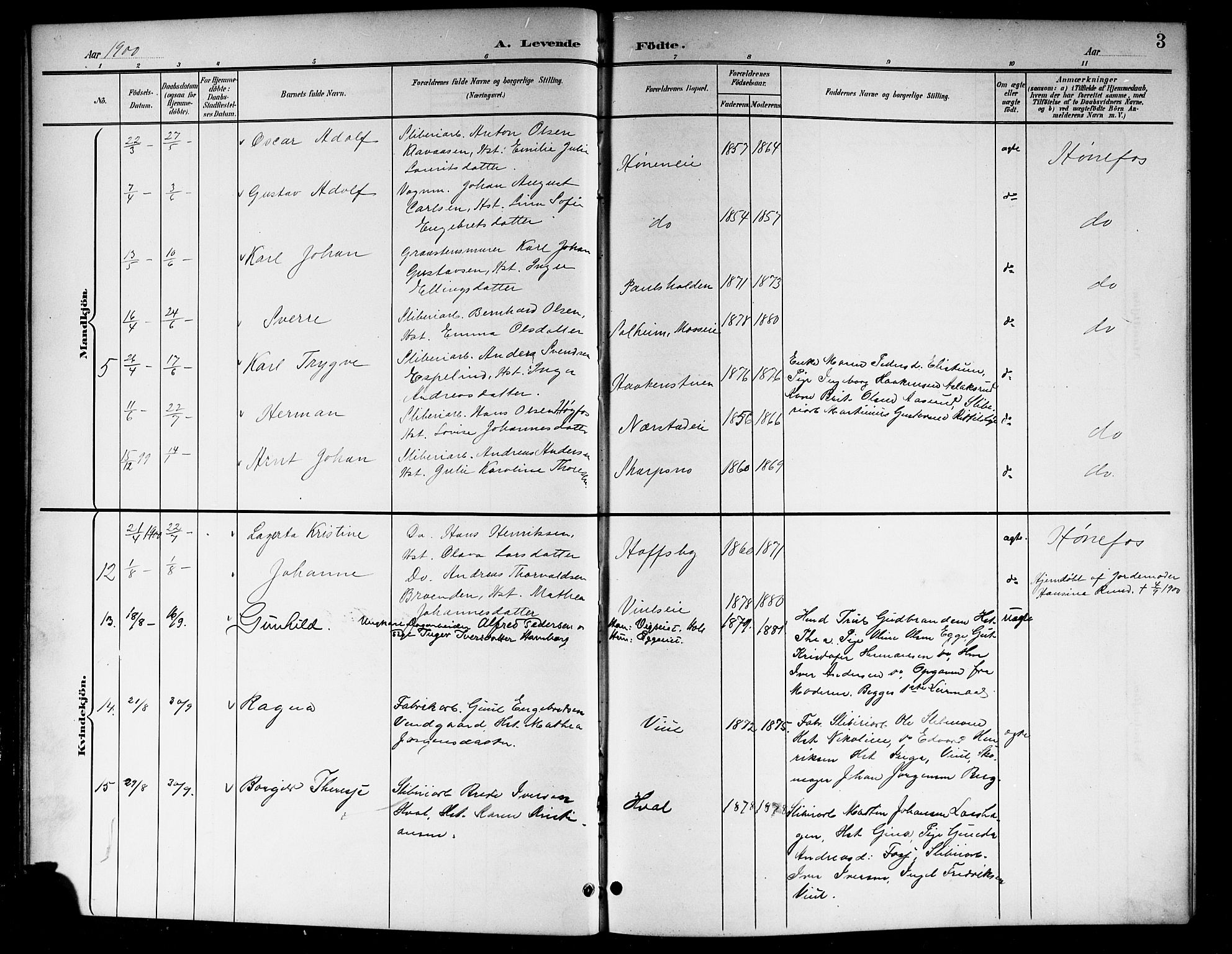 Norderhov kirkebøker, AV/SAKO-A-237/G/Gb/L0002: Parish register (copy) no. II 2, 1891-1921, p. 3