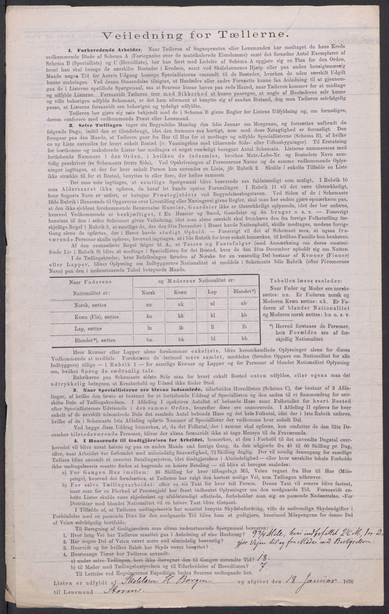 RA, 1875 census for 0236P Nes, 1875, p. 3