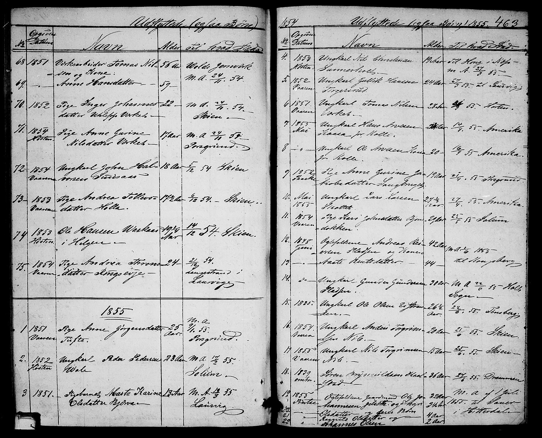 Holla kirkebøker, SAKO/A-272/G/Ga/L0003: Parish register (copy) no. I 3, 1849-1866, p. 463