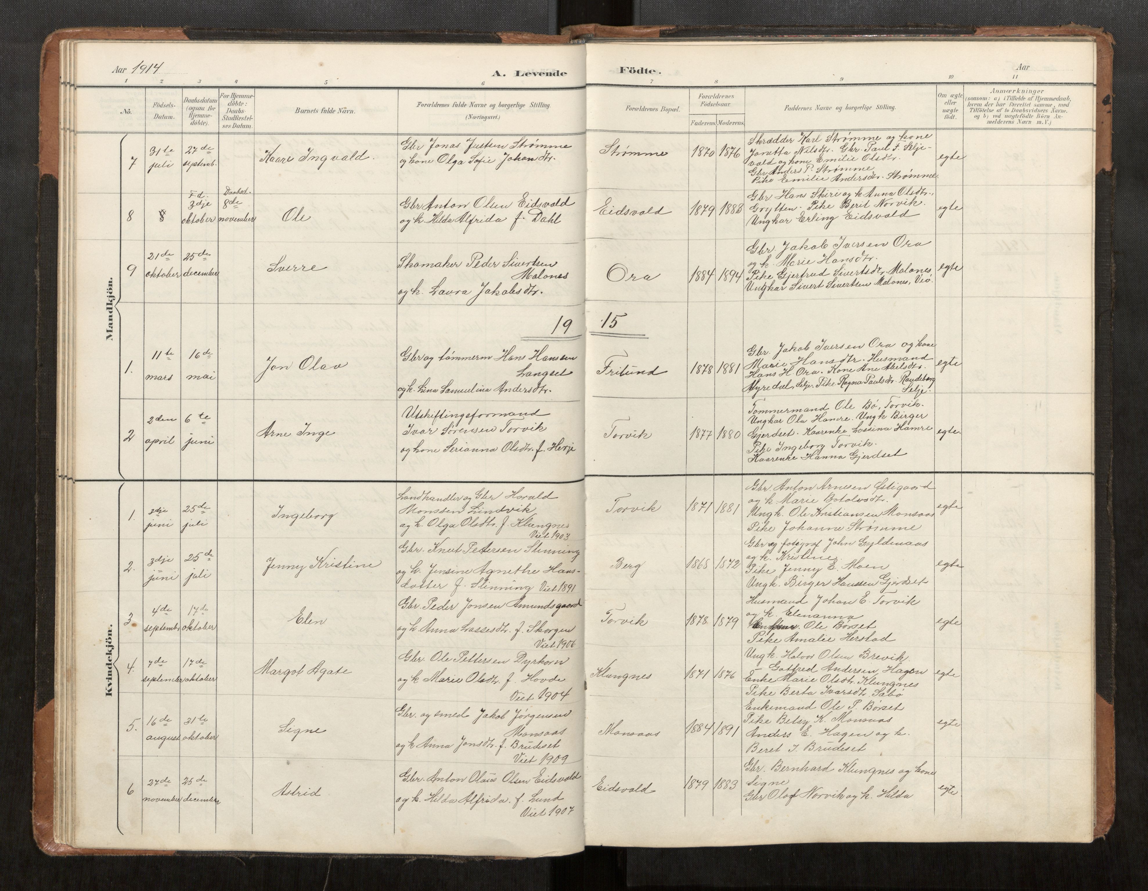 Ministerialprotokoller, klokkerbøker og fødselsregistre - Møre og Romsdal, AV/SAT-A-1454/542/L0561: Parish register (copy) no. 542C03, 1893-1931