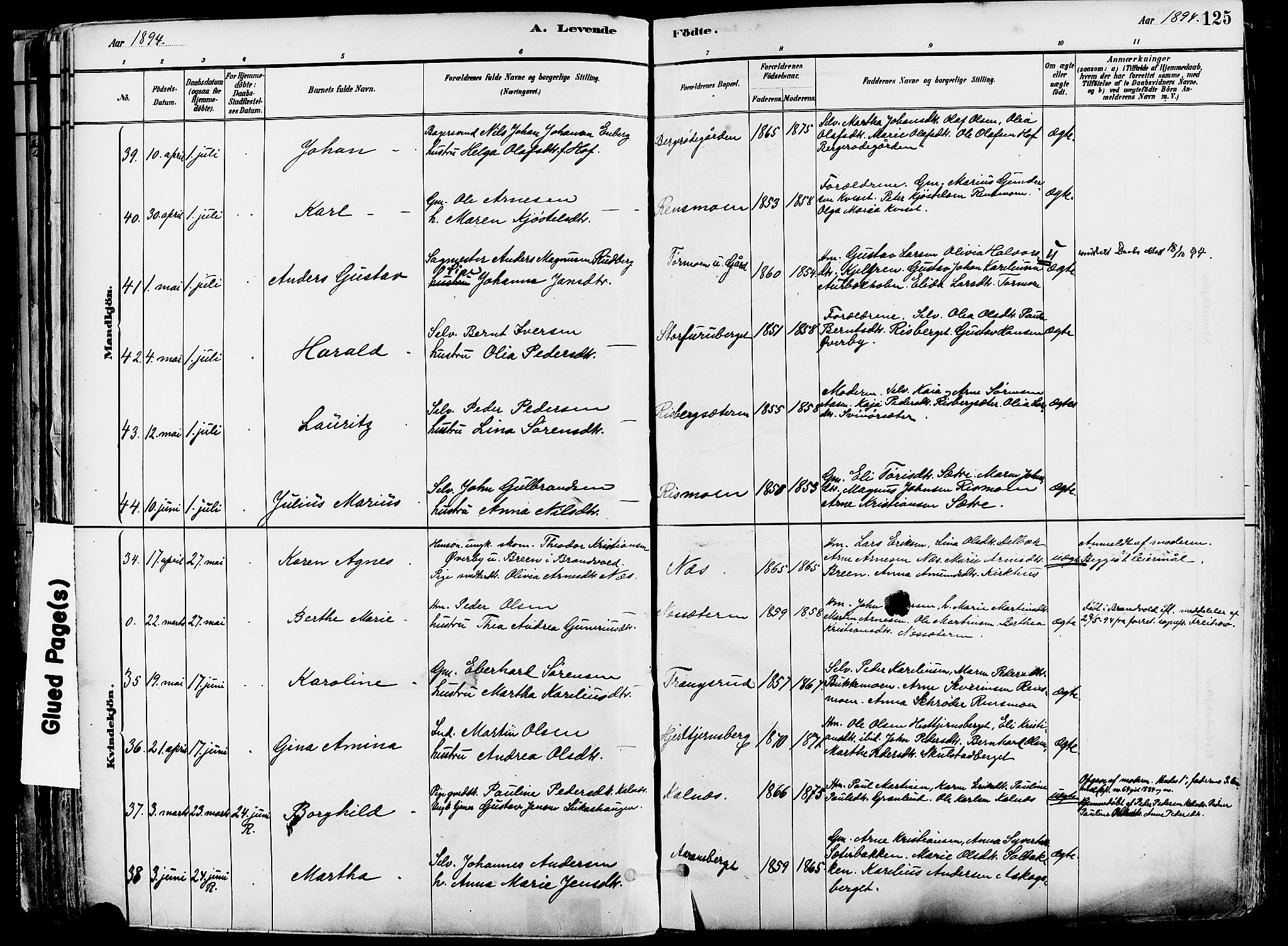 Grue prestekontor, AV/SAH-PREST-036/H/Ha/Haa/L0012: Parish register (official) no. 12, 1881-1897, p. 125