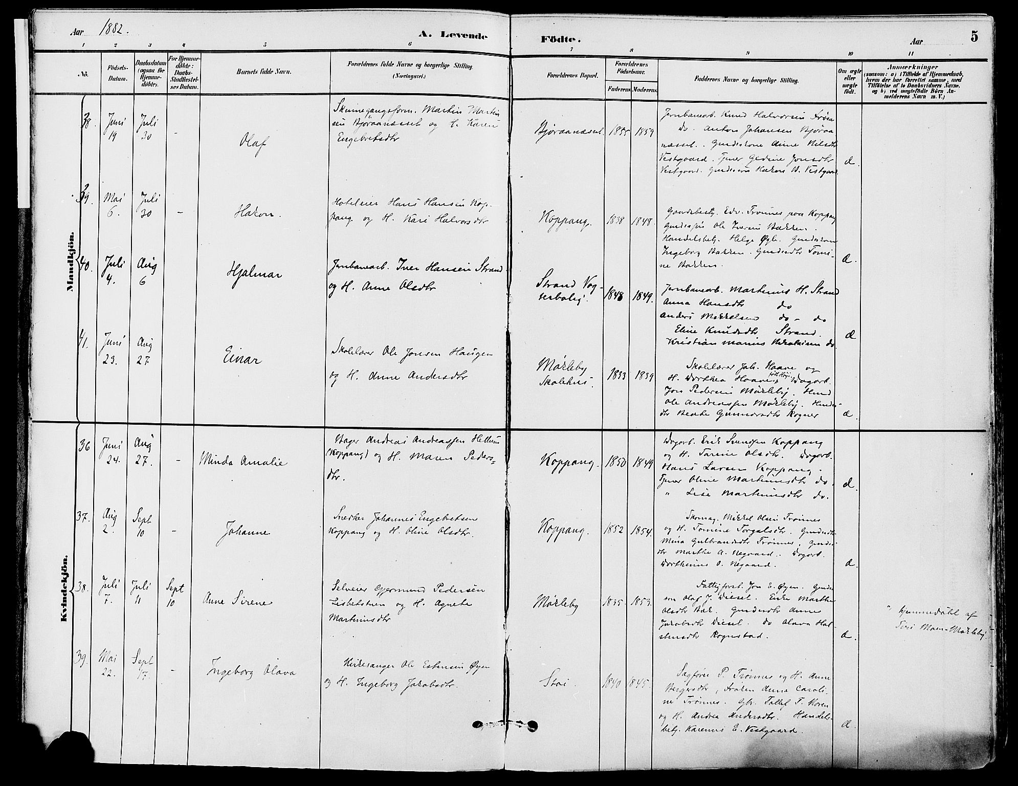 Stor-Elvdal prestekontor, AV/SAH-PREST-052/H/Ha/Haa/L0002: Parish register (official) no. 2, 1882-1907, p. 5