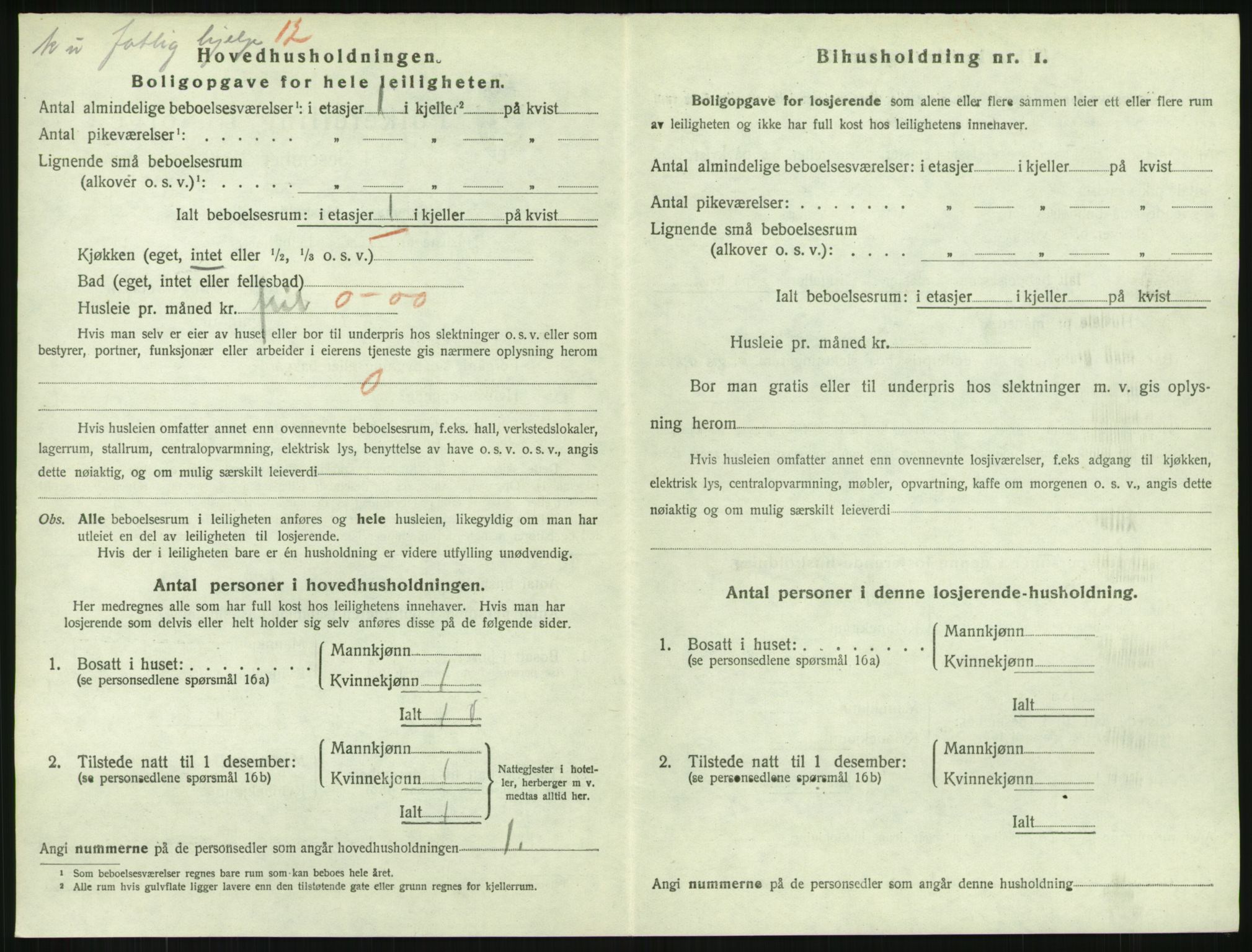 SAKO, 1920 census for Drammen, 1920, p. 8374