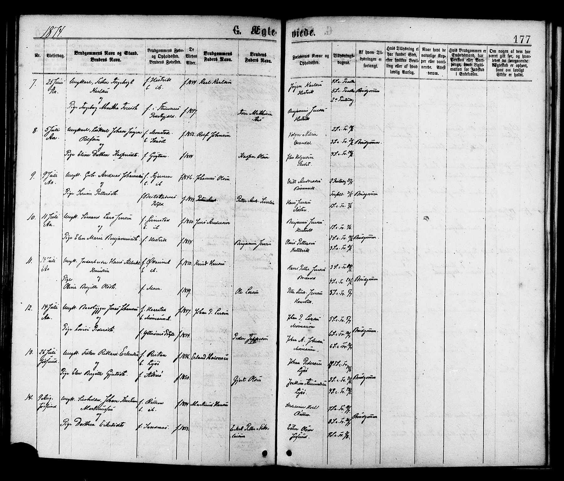 Ministerialprotokoller, klokkerbøker og fødselsregistre - Sør-Trøndelag, SAT/A-1456/655/L0679: Parish register (official) no. 655A08, 1873-1879, p. 177
