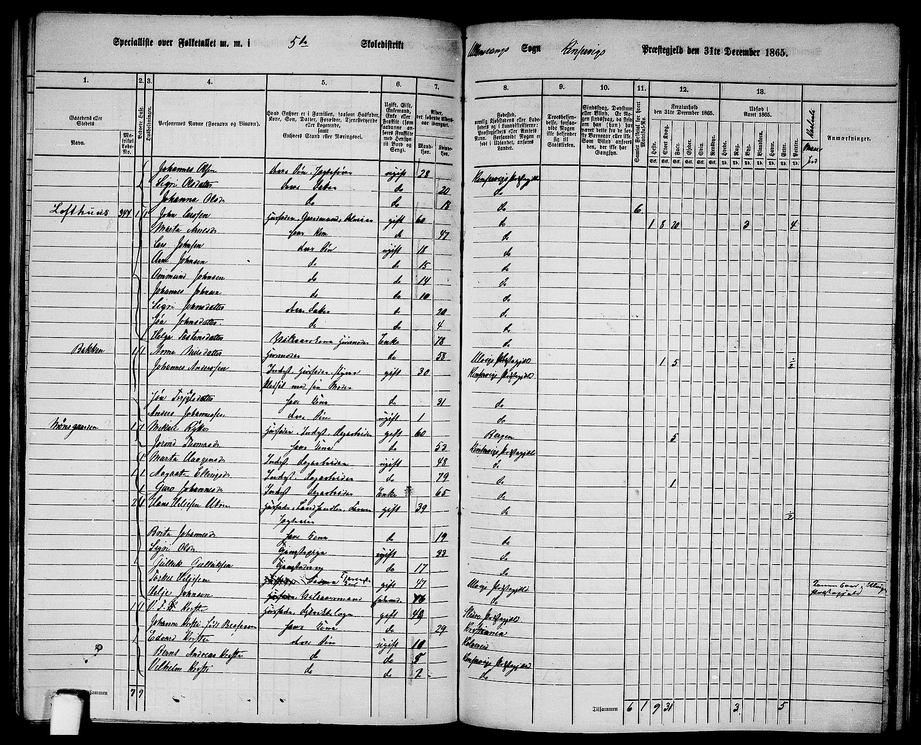 RA, 1865 census for Kinsarvik, 1865, p. 161