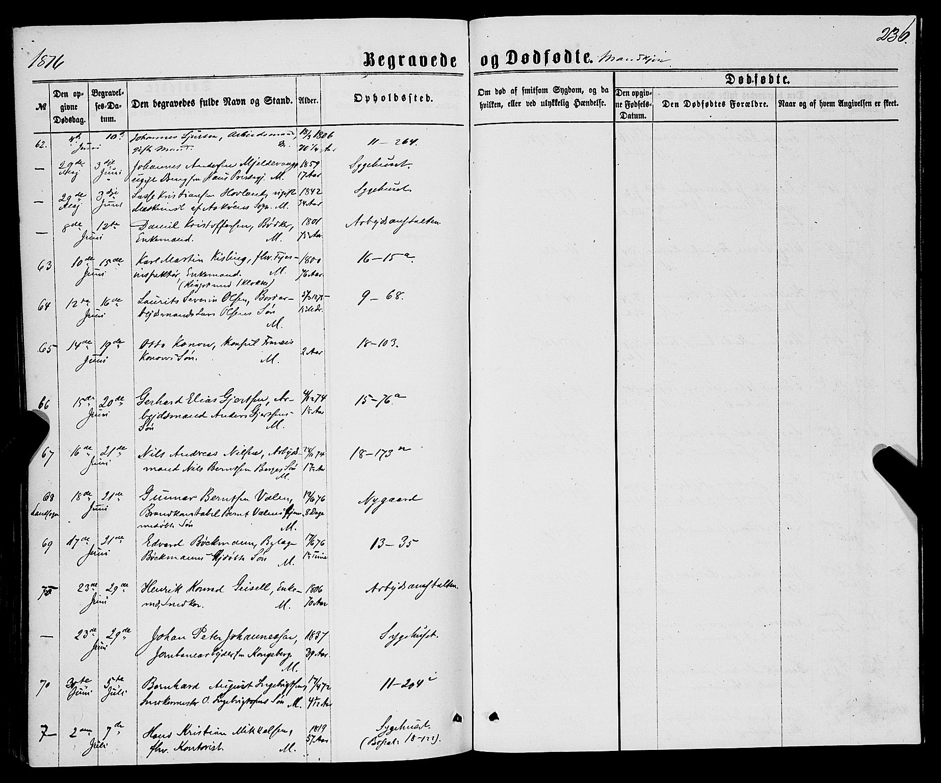 Domkirken sokneprestembete, AV/SAB-A-74801/H/Haa/L0042: Parish register (official) no. E 3, 1863-1876, p. 236