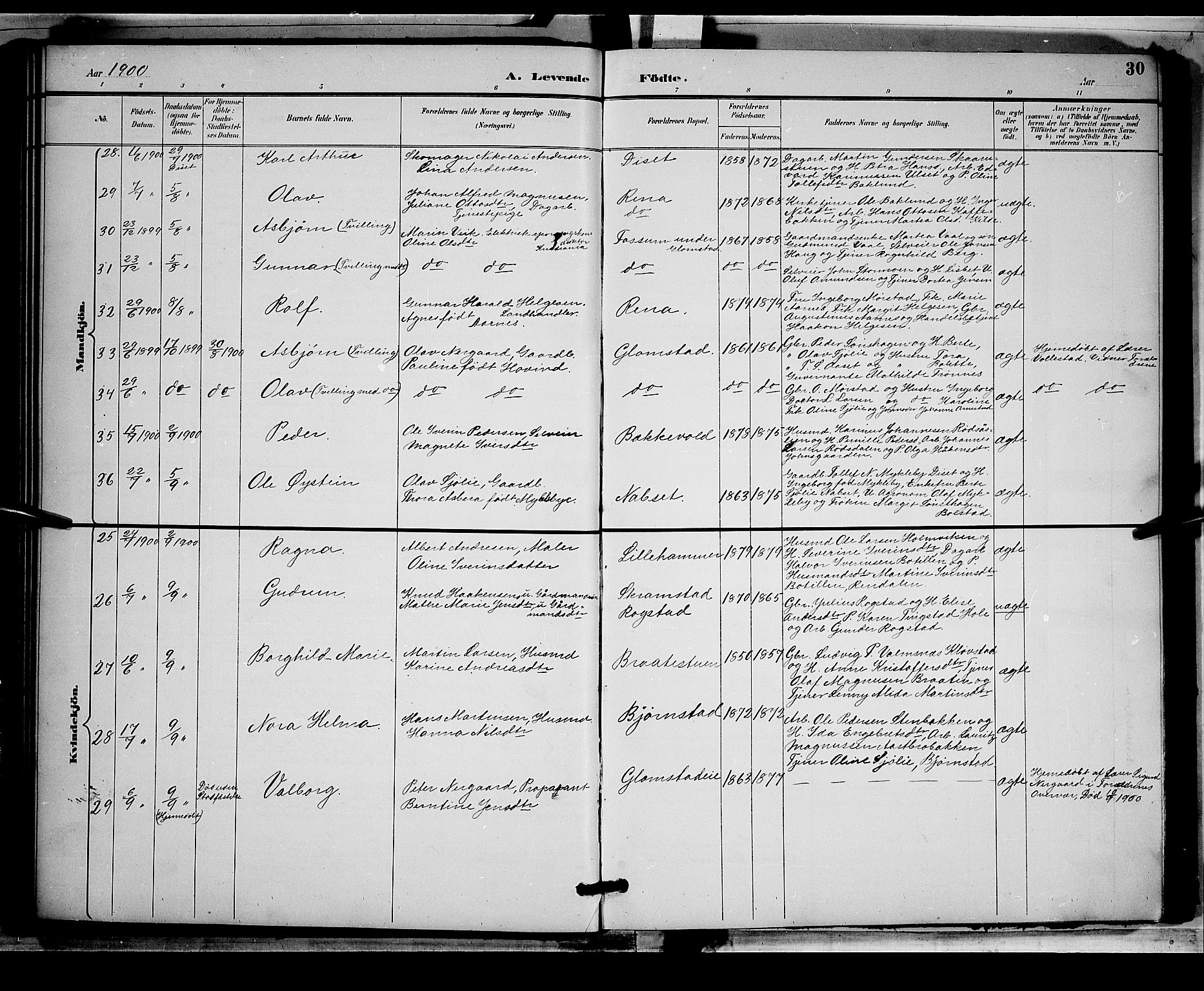 Åmot prestekontor, Hedmark, AV/SAH-PREST-056/H/Ha/Hab/L0002: Parish register (copy) no. 2, 1896-1906, p. 30