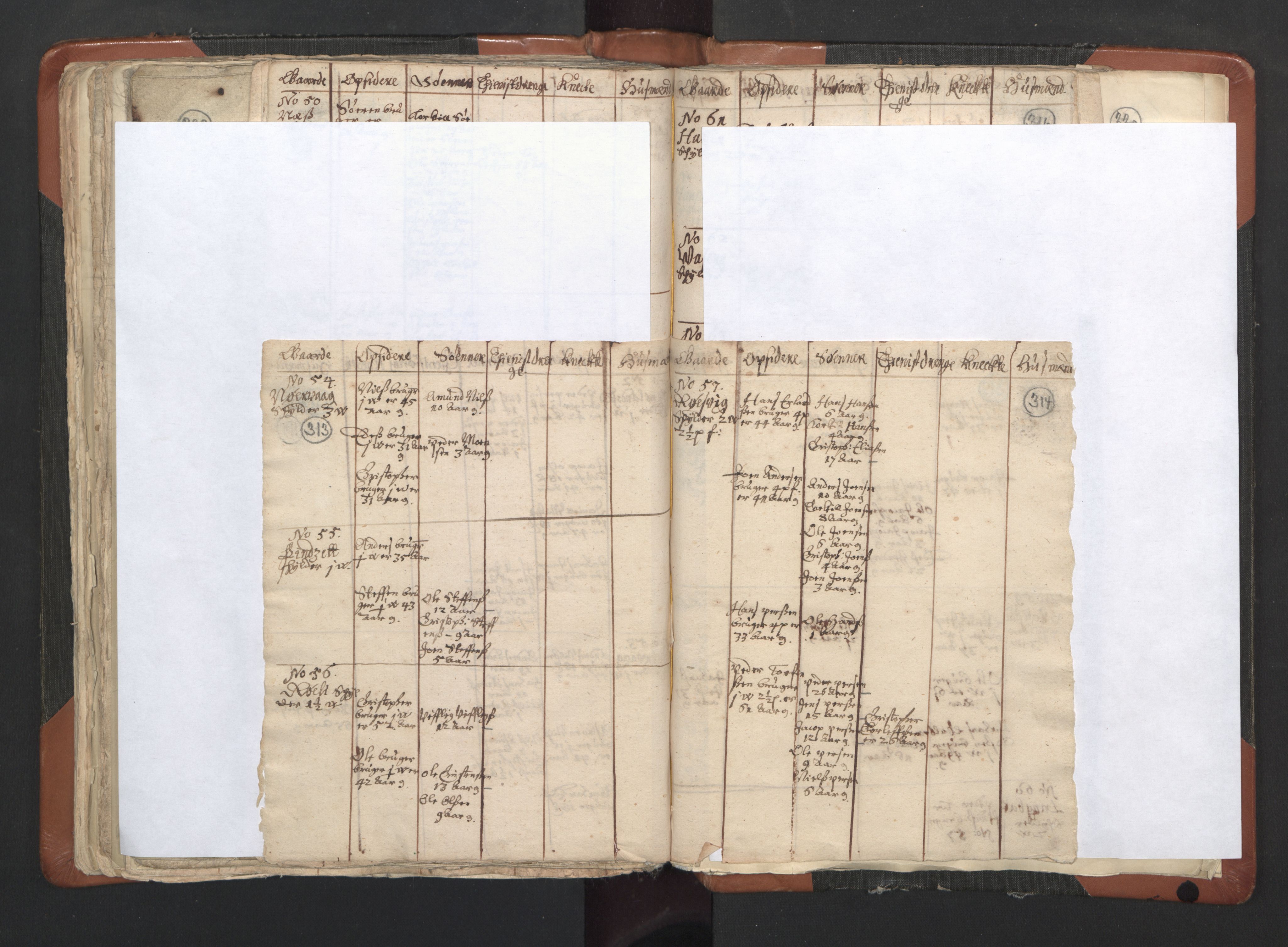 RA, Vicar's Census 1664-1666, no. 35: Helgeland deanery and Salten deanery, 1664-1666, p. 313-314