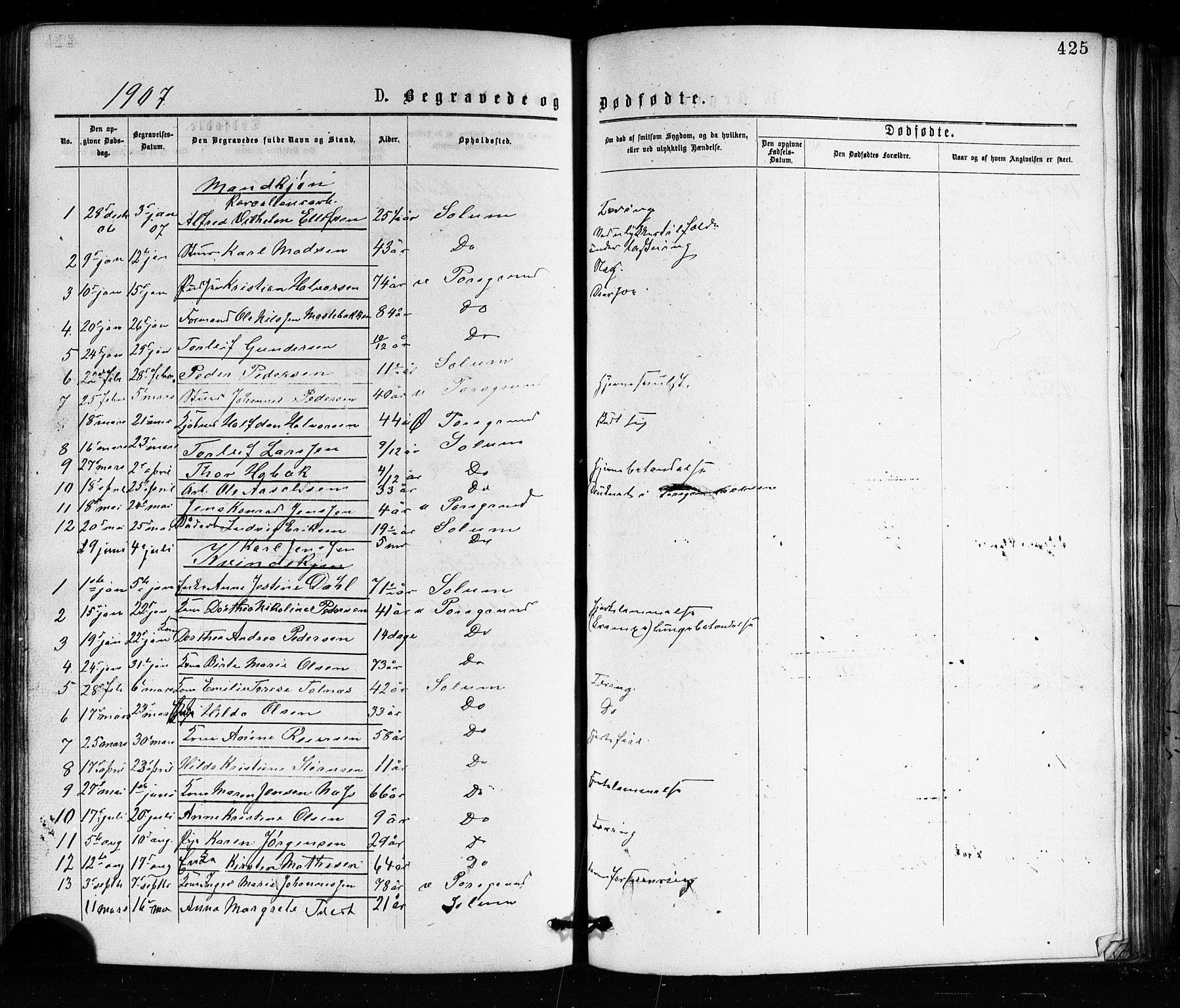 Porsgrunn kirkebøker , SAKO/A-104/G/Ga/L0003: Parish register (copy) no. I 3, 1877-1915, p. 425