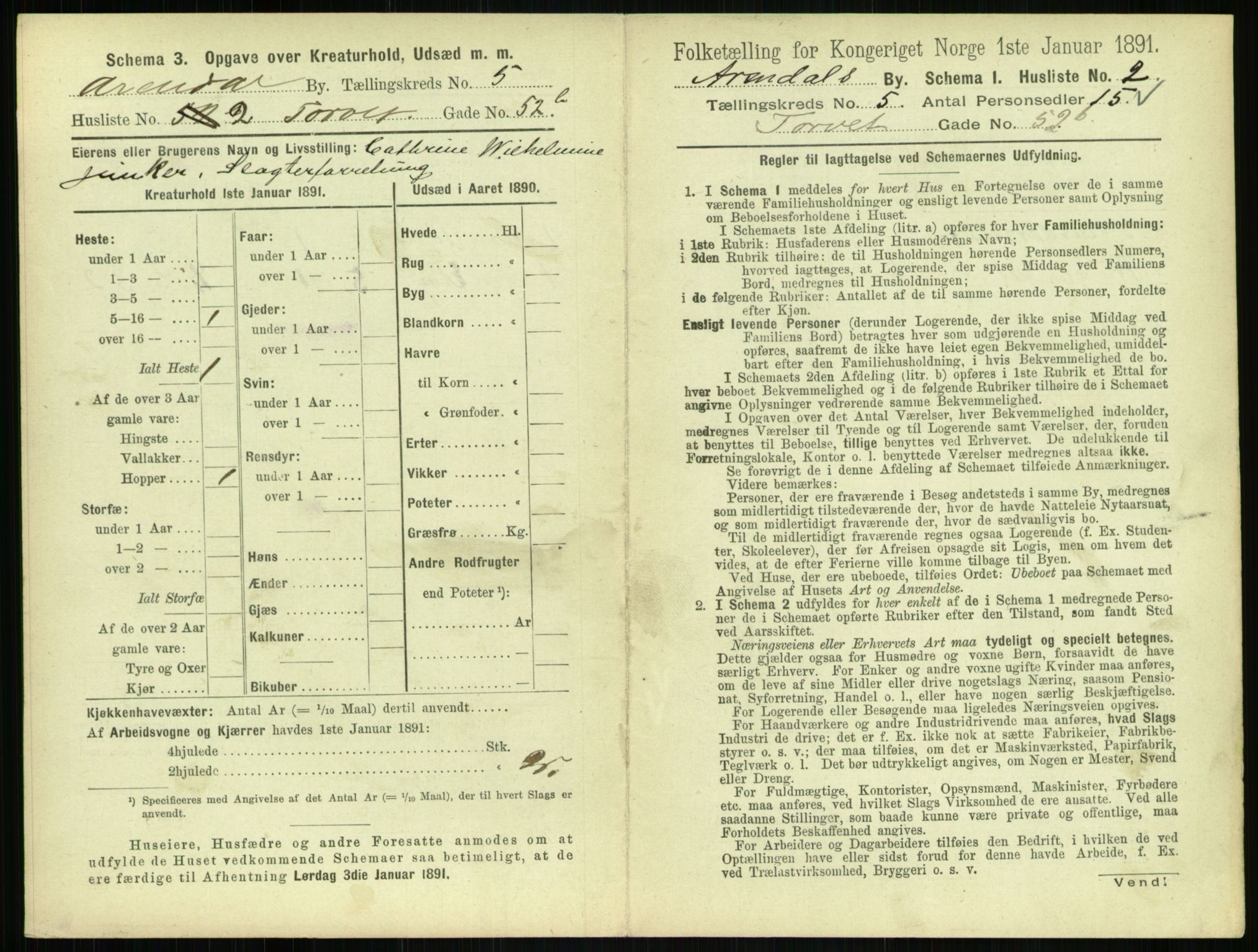 RA, 1891 census for 0903 Arendal, 1891, p. 214