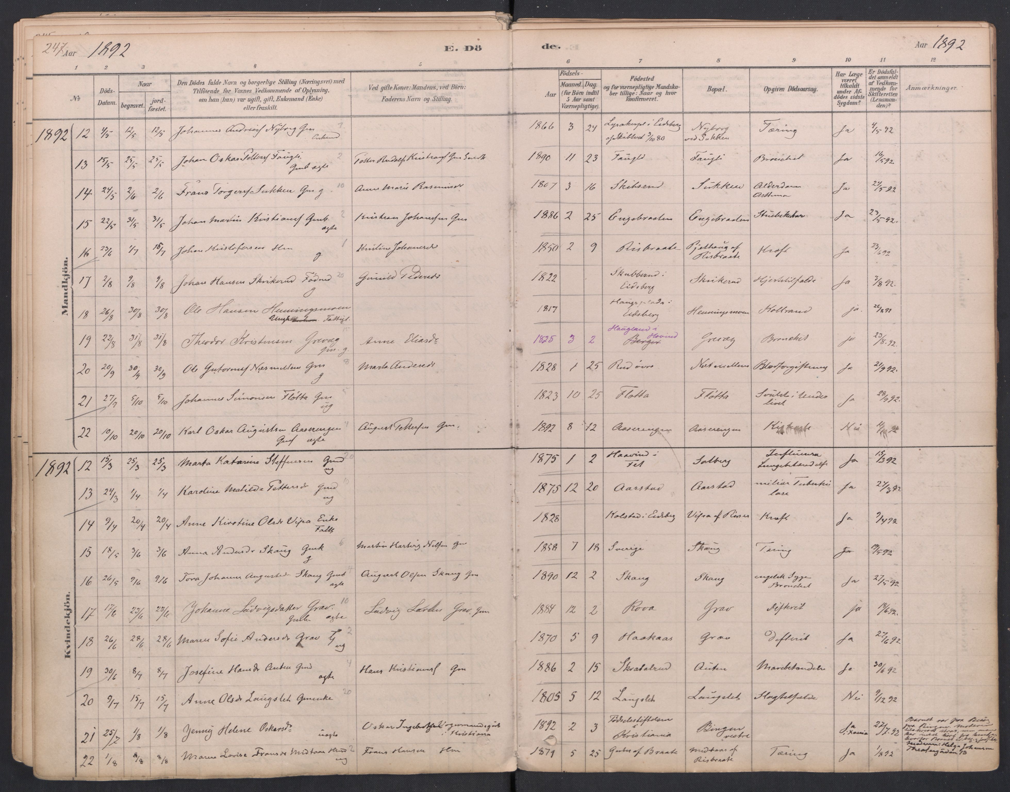 Trøgstad prestekontor Kirkebøker, SAO/A-10925/F/Fa/L0010: Parish register (official) no. I 10, 1878-1898, p. 247