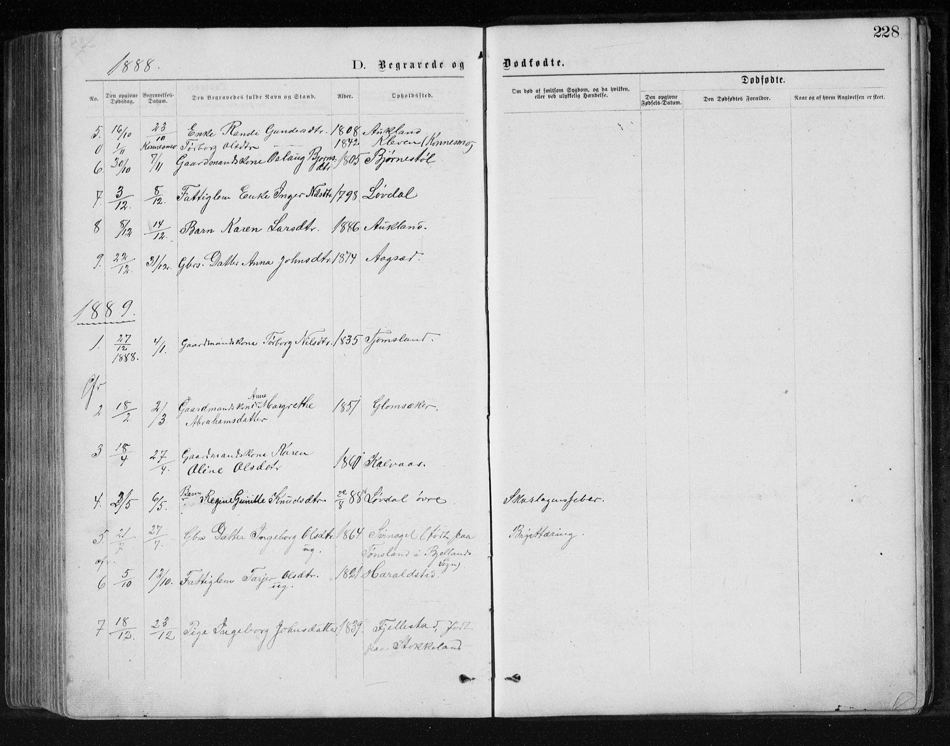 Holum sokneprestkontor, SAK/1111-0022/F/Fb/Fbb/L0003: Parish register (copy) no. B 3, 1875-1898, p. 228