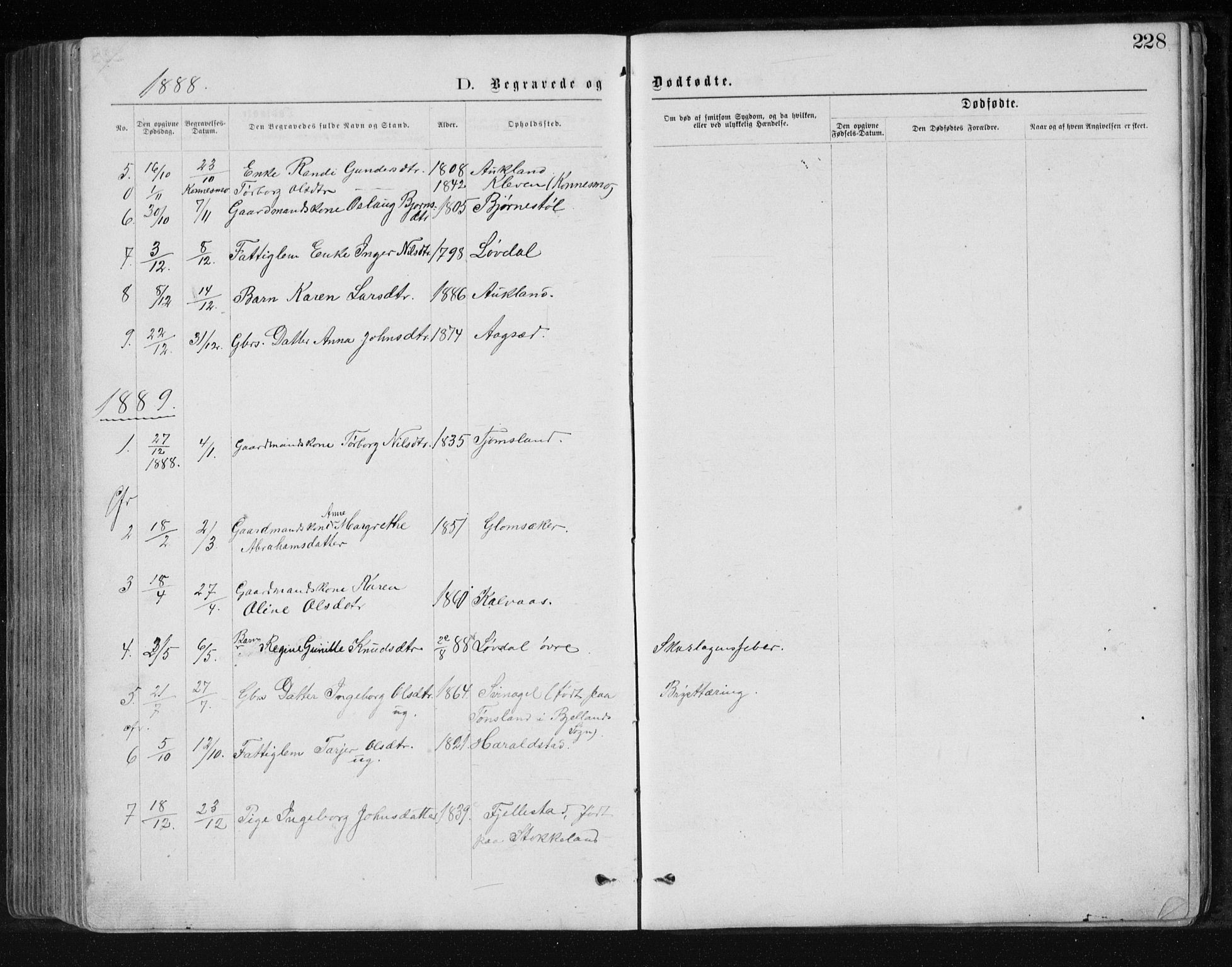 Holum sokneprestkontor, AV/SAK-1111-0022/F/Fb/Fbb/L0003: Parish register (copy) no. B 3, 1875-1898, p. 228