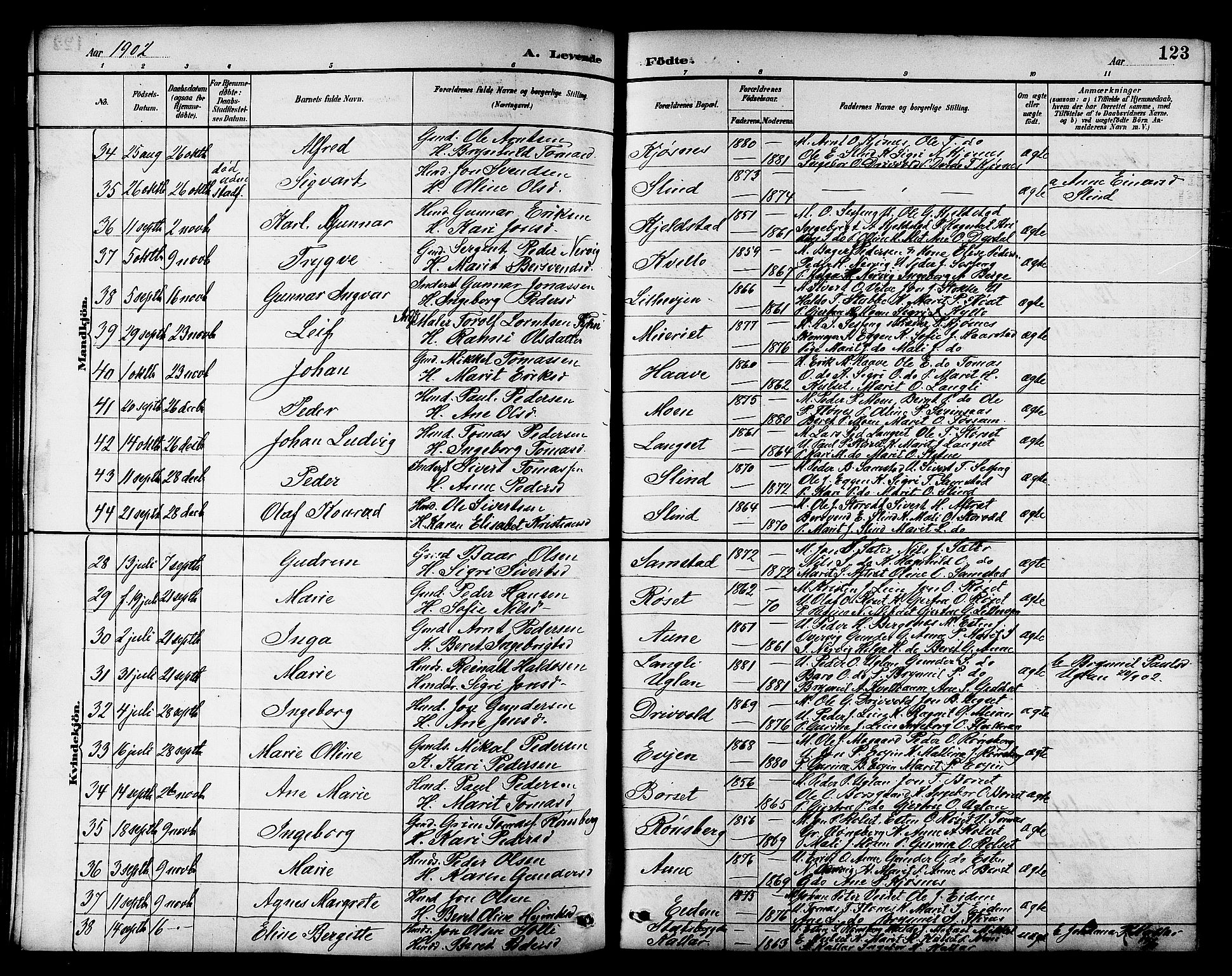 Ministerialprotokoller, klokkerbøker og fødselsregistre - Sør-Trøndelag, SAT/A-1456/695/L1157: Parish register (copy) no. 695C08, 1889-1913, p. 123
