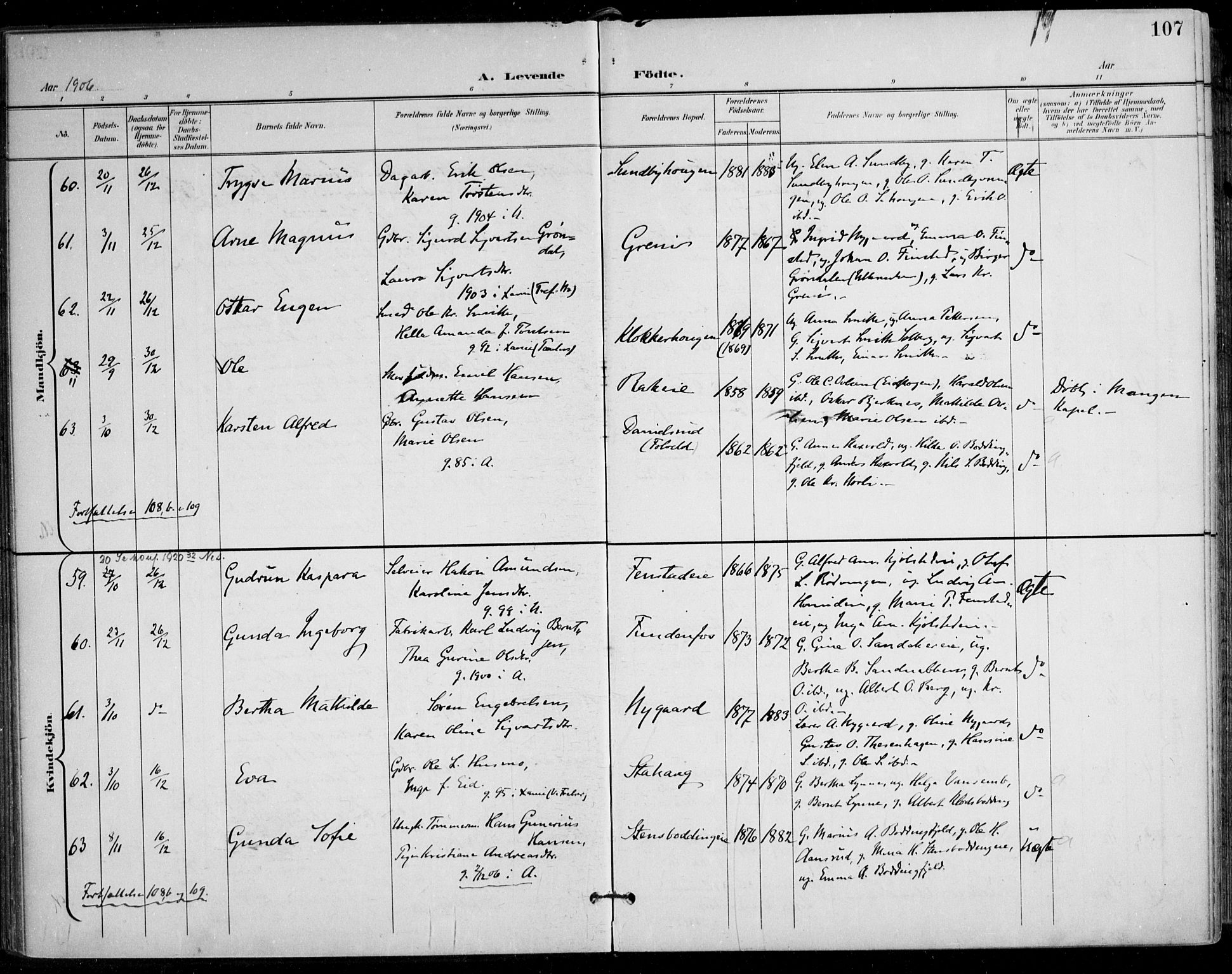 Nes prestekontor Kirkebøker, AV/SAO-A-10410/F/Fa/L0011: Parish register (official) no. I 11, 1899-1918, p. 107