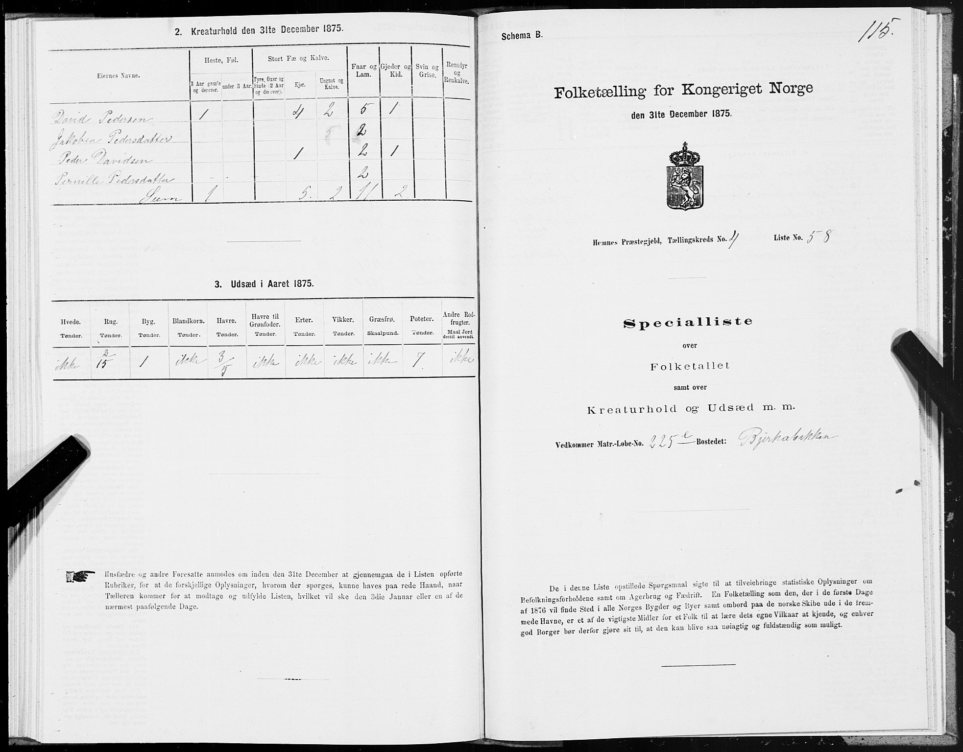 SAT, 1875 census for 1832P Hemnes, 1875, p. 3115