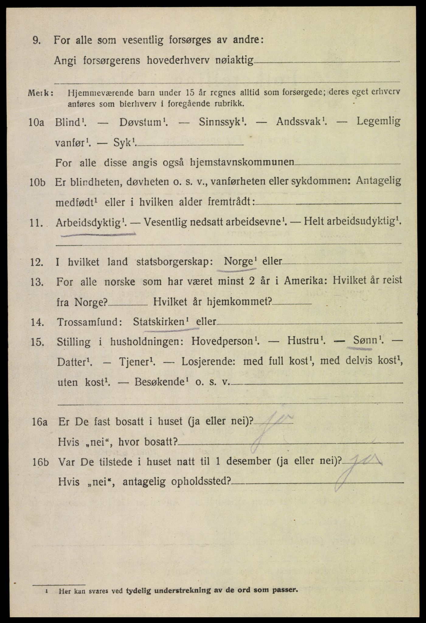 SAH, 1920 census for Brandbu, 1920, p. 2490