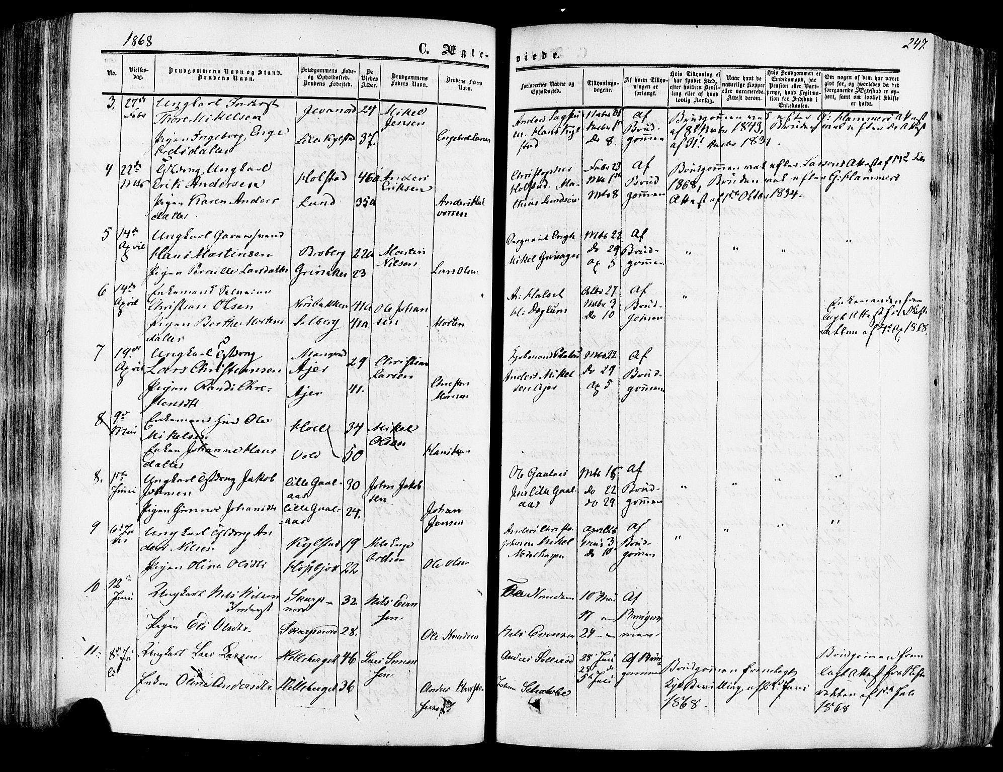 Vang prestekontor, Hedmark, SAH/PREST-008/H/Ha/Haa/L0013: Parish register (official) no. 13, 1855-1879, p. 247