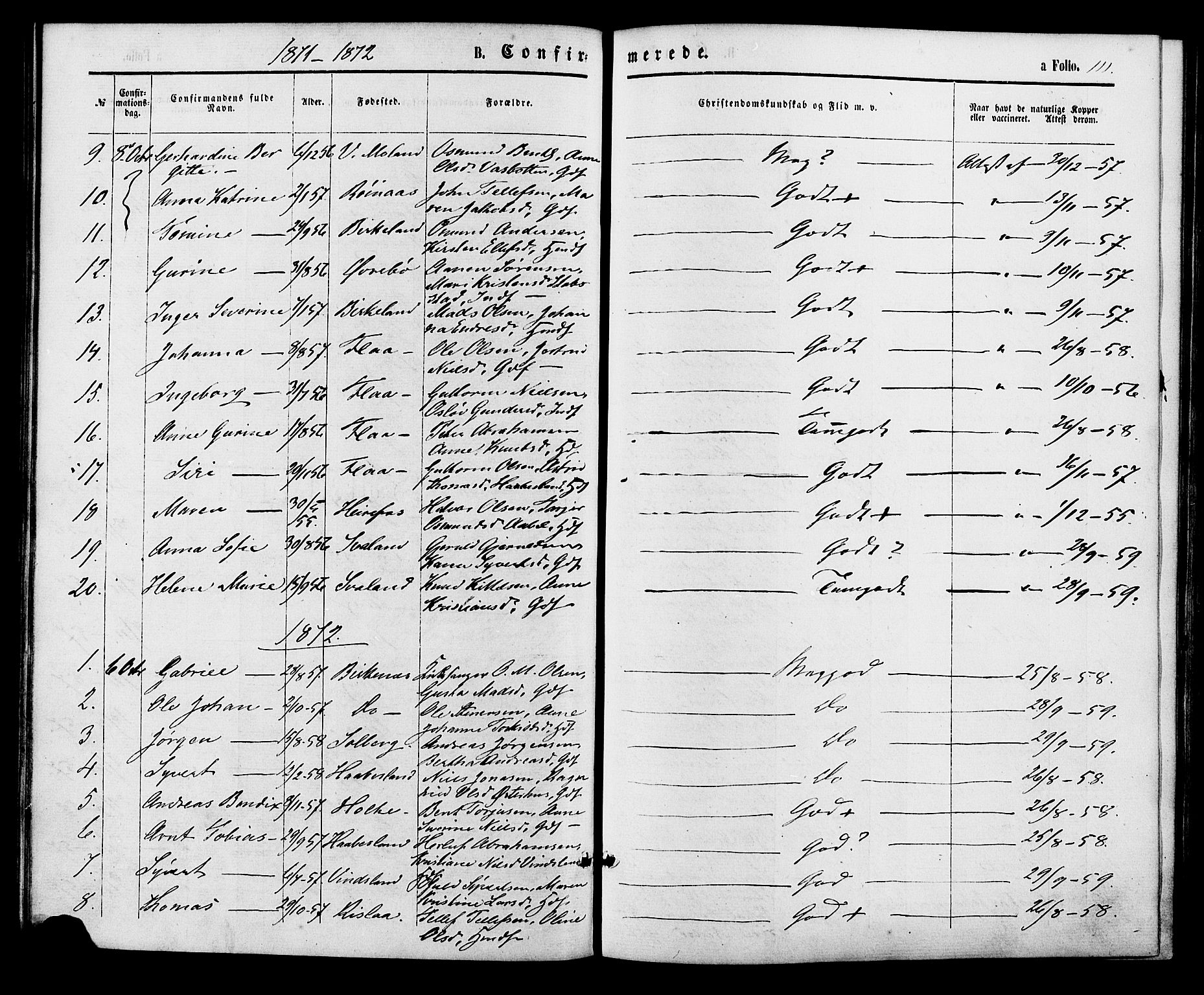 Birkenes sokneprestkontor, SAK/1111-0004/F/Fa/L0004: Parish register (official) no. A 4, 1867-1886, p. 111