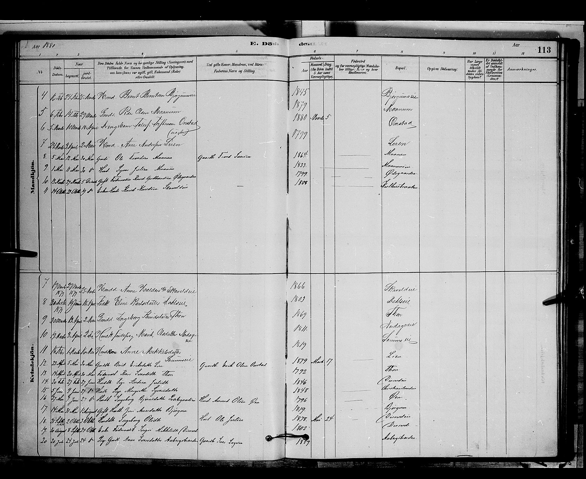 Nord-Aurdal prestekontor, SAH/PREST-132/H/Ha/Hab/L0006: Parish register (copy) no. 6, 1878-1892, p. 113