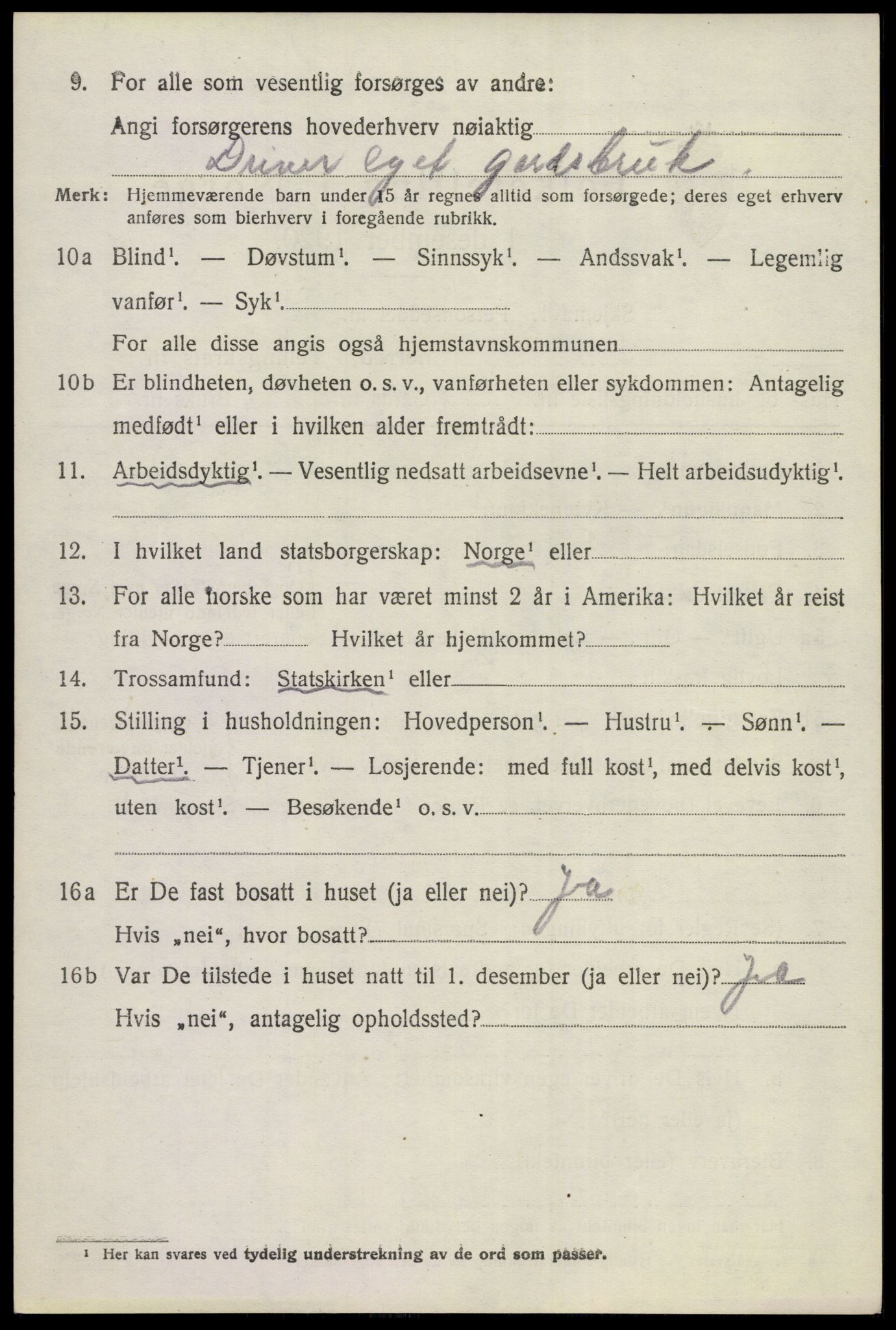 SAKO, 1920 census for Hol (Buskerud), 1920, p. 860